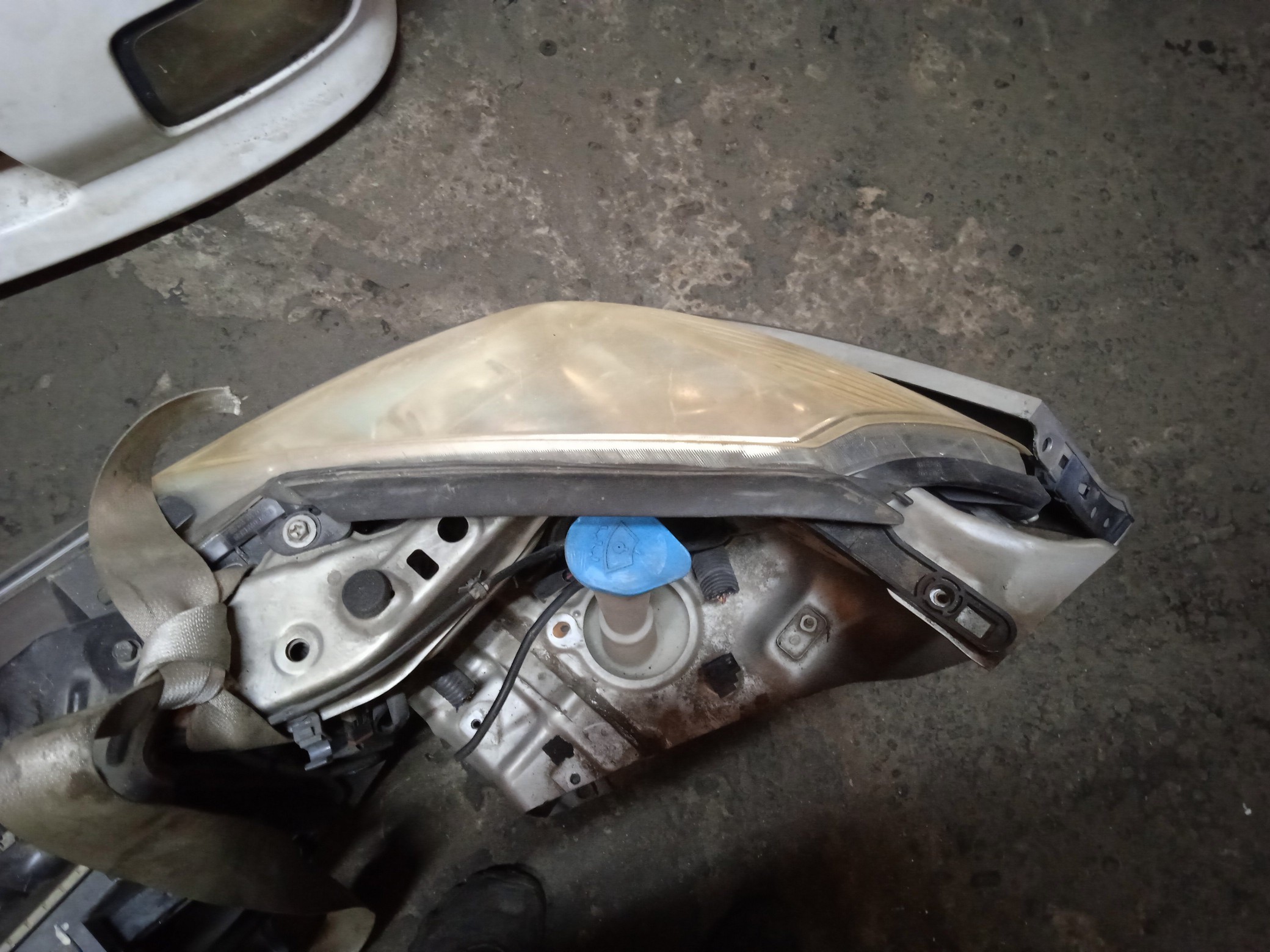 NOSECUT/NIS/WINGROAD/Y11/2 МОДЕЛЬ/62500WE000/62500WD000/62030WE000