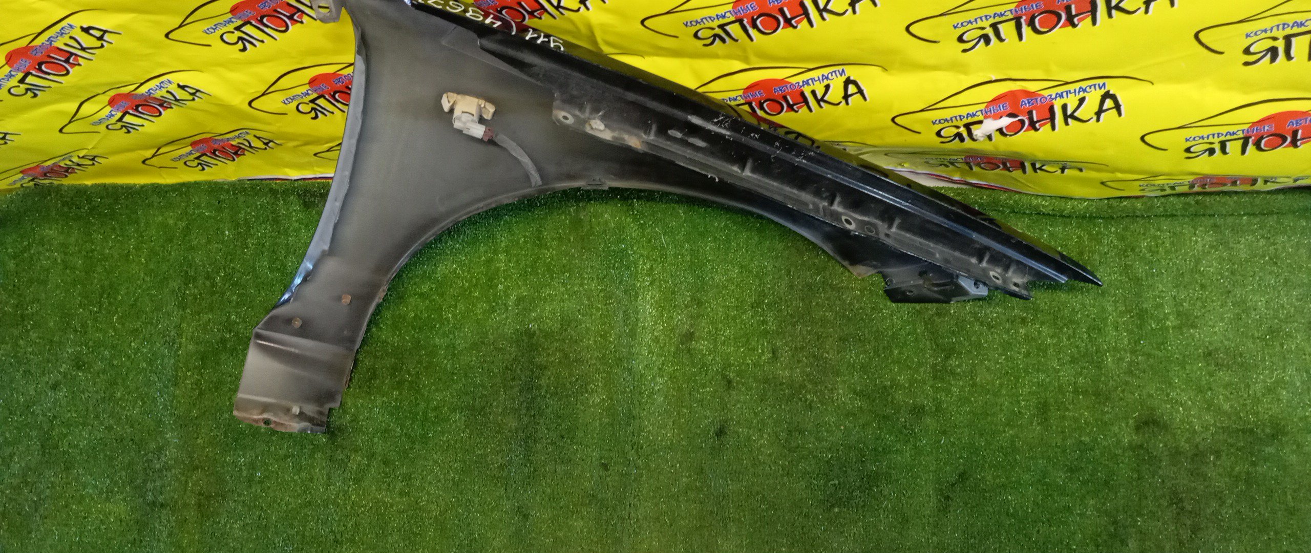 КРЫЛО/NIS/WINGROAD/VENY11/VEY11/VFY11/VGY11/VHNY11/VY11/WFNY11/WFY11/WHNY11/WHY11/WPY11/WRY11/F/L/2 МОДЕЛЬ/63101WE010/63101WE000