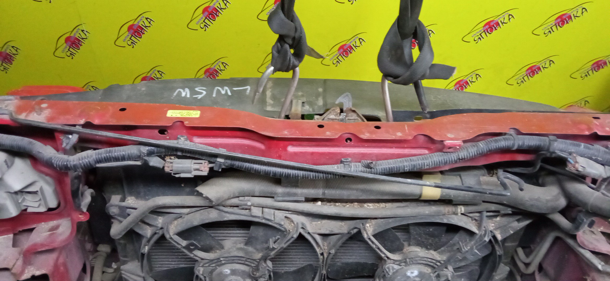 NOSECUT/MAZ/MPV/LW3W/LW5W/LWEW/LWFW/С ТУМАНКАМИ/1 МОДЕЛЬ/LC6253110H/LC6250071B