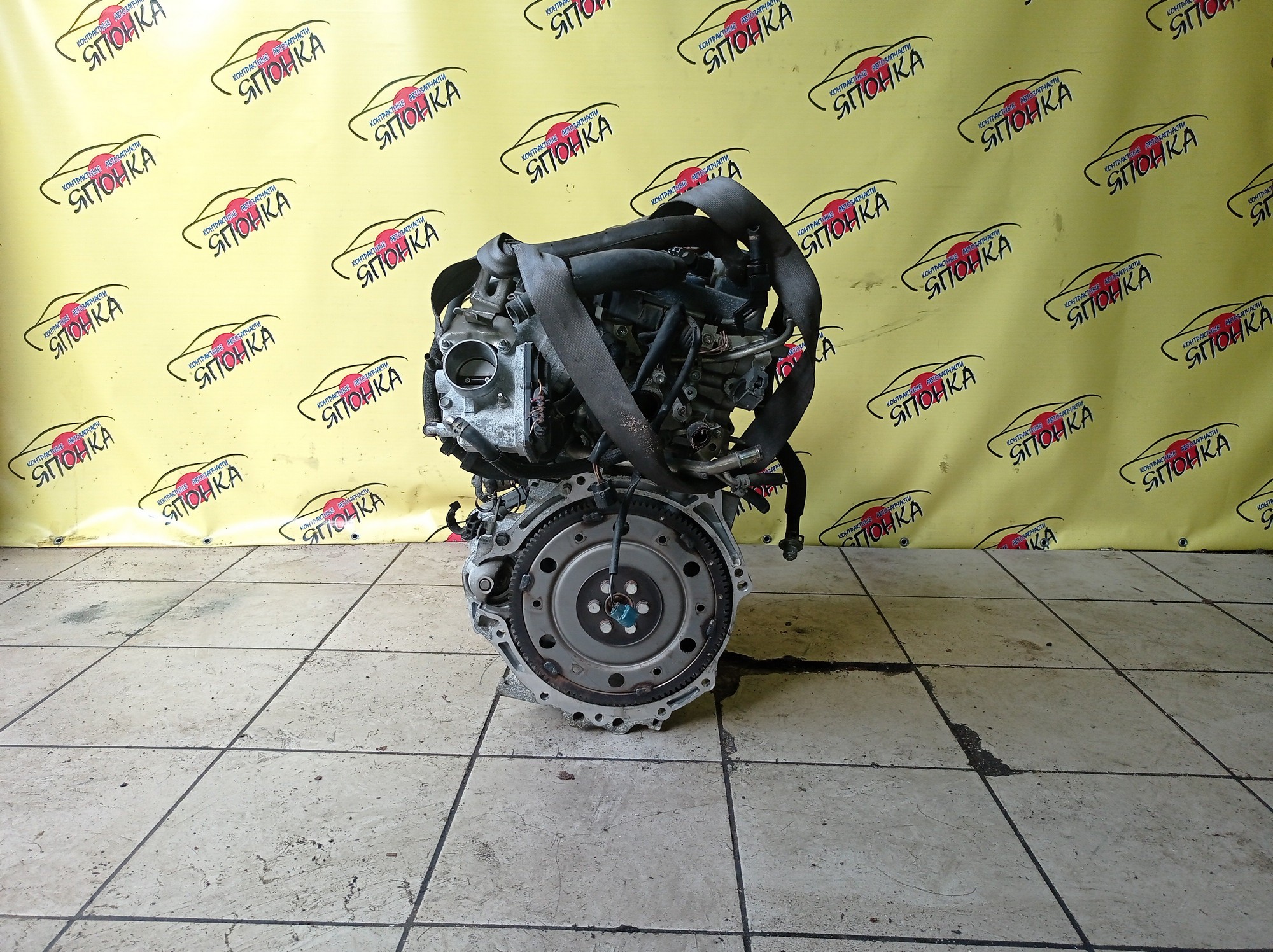 ДВС/TOY/1NZ-FE/COROLLA/VITZ/PREMIO/ALLION/IST/FIELDER/AXIO/PORTE/RACTIS/RUMION/NCP131/NCP100/NCP120/NCP105/NCP110/NCP115/NZE141G/NZE144/NZE144G/NZT260/NZE151N/NCP125/NZE141/NNP11/NNP15/NCP91/ЭЛЕКТРО ДРОСЕЛЬ/1 МОДЕЛЬ/1900021C41/1900021851