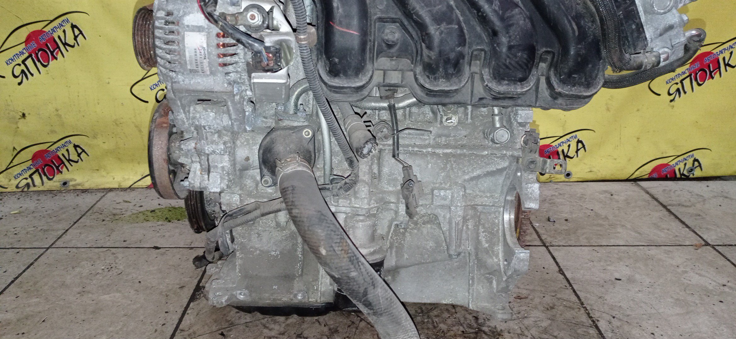 ДВС/TOY/1NZ-FE/COROLLA/VITZ/PREMIO/ALLION/IST/FIELDER/AXIO/PORTE/RACTIS/RUMION/NCP131/NCP100/NCP120/NCP105/NCP110/NCP115/NZE141G/NZE144/NZE144G/NZT260/NZE151N/NCP125/NZE141/NNP11/NNP15/NCP91/ЭЛЕКТРО ДРОСЕЛЬ/1 МОДЕЛЬ/1900021C41/1900021851