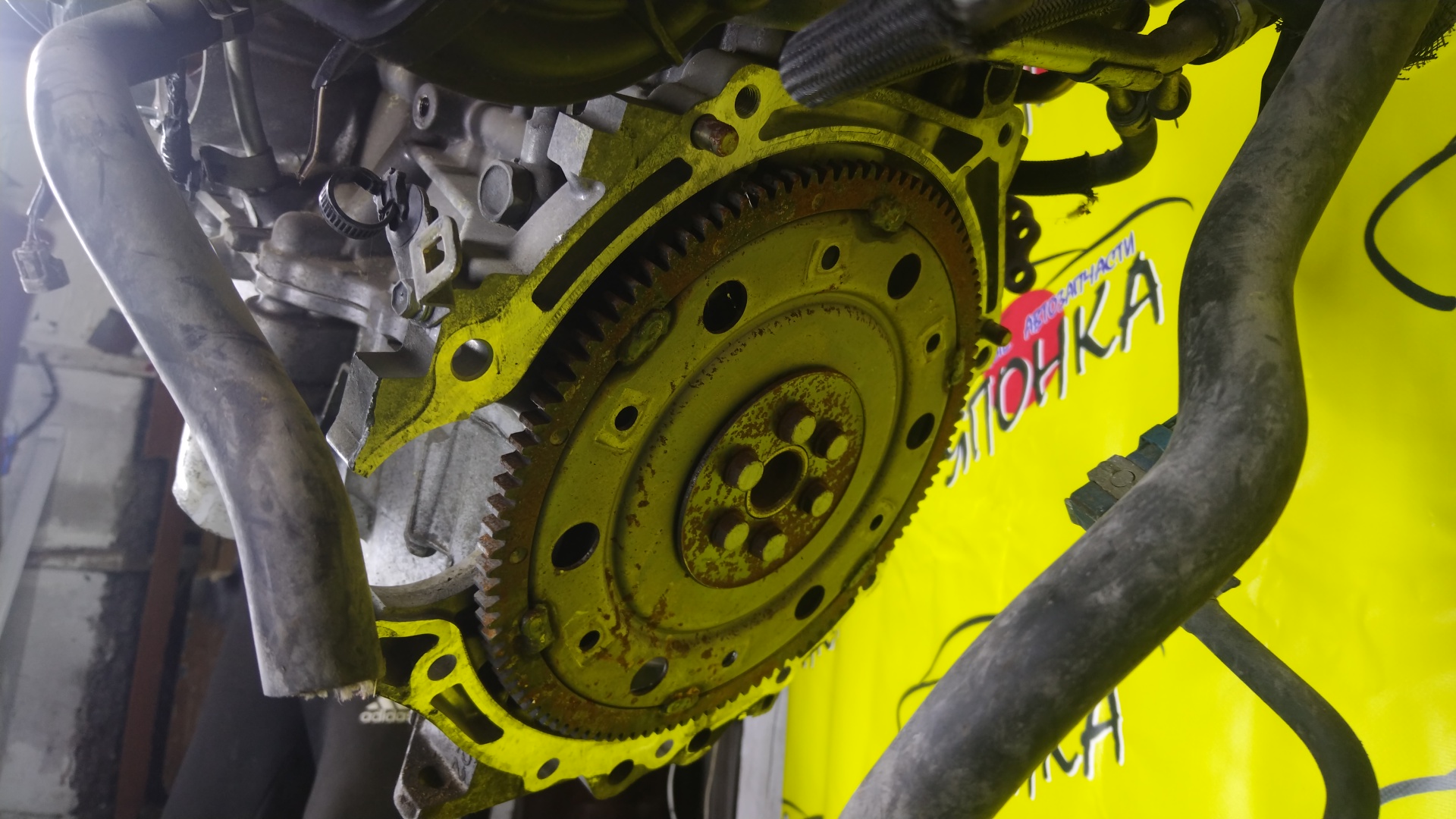 ДВС/TOY/1NZ-FE/COROLLA/VITZ/PREMIO/ALLION/IST/FIELDER/AXIO/PORTE/RACTIS/RUMION/NCP131/NCP100/NCP120/NCP105/NCP110/NCP115/NZE141G/NZE144/NZE144G/NZT260/NZE151N/NCP125/NZE141/NNP11/NNP15/NCP91/ЭЛЕКТРО ДРОСЕЛЬ/1 МОДЕЛЬ/1900021C41/1900021851