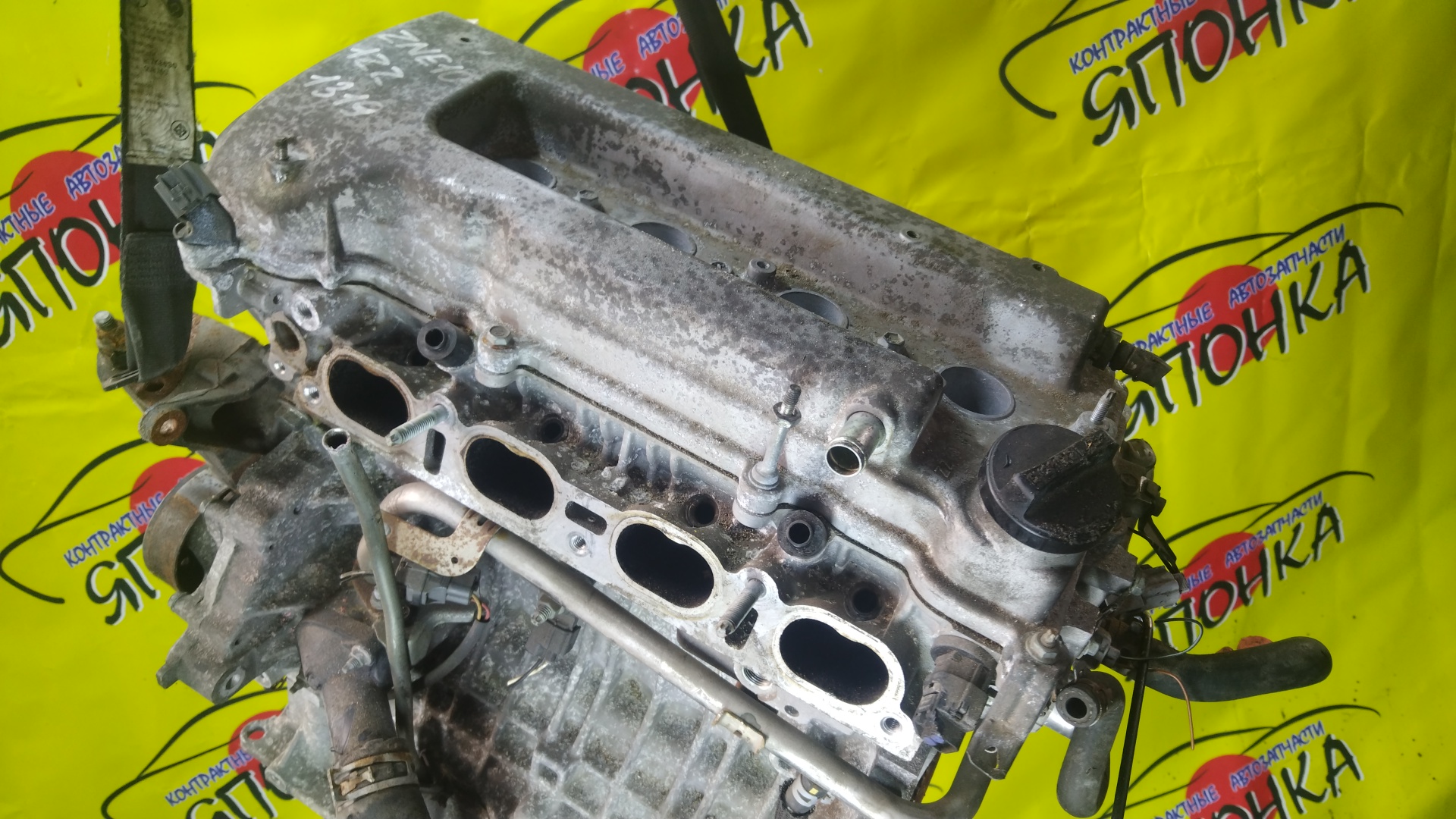 ДВС/TOY/1ZZ/ALLEX/ALLION/AVENSIS/CALDINA/CELICA/COROLLA/FIELDER/RUNX/SPACIO/COROLLA VERSO/ISIS/MR-S/OPA/PREMIO/RAV4/VIBE/VISTA/VISTA ARDEO/VOLTZ/WILL VS/WISH/ZCA25W/ZCA26W/ZCT10/ZCT15/ZNE10G/ZNE14G/ZNM10G/ZNM10W/ZNR11/ZZE122/ZZE122G/ZZE122N/ZZE124/ZZE124G/ZZE124N/ZZE127/ZZE129/ZZE136/ZZE138/ZZT221/ZZT230/ZZT240/ZZT241W/ZZT245/ZZT251/ZZV50/ZZV50G/ZZW30 1ZZ-/ЭЛЕКТРО ДРОСЕЛЬ/ВПУСК ПЛАСТИКОВЫЙ