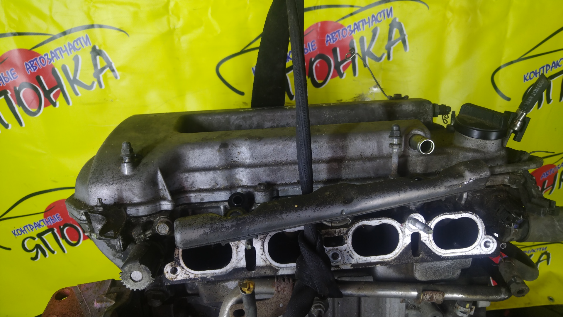 ДВС/TOY/1ZZ/ALLEX/ALLION/AVENSIS/CALDINA/CELICA/COROLLA/FIELDER/RUNX/SPACIO/COROLLA VERSO/ISIS/MR-S/OPA/PREMIO/RAV4/VIBE/VISTA/VISTA ARDEO/VOLTZ/WILL VS/WISH/ZCA25W/ZCA26W/ZCT10/ZCT15/ZNE10G/ZNE14G/ZNM10G/ZNM10W/ZNR11/ZZE122/ZZE122G/ZZE122N/ZZE124/ZZE124G/ZZE124N/ZZE127/ZZE129/ZZE136/ZZE138/ZZT221/ZZT230/ZZT240/ZZT241W/ZZT245/ZZT251/ZZV50/ZZV50G/ZZW30 1ZZ-/ЭЛЕКТРО ДРОСЕЛЬ/ВПУСК ПЛАСТИКОВЫЙ