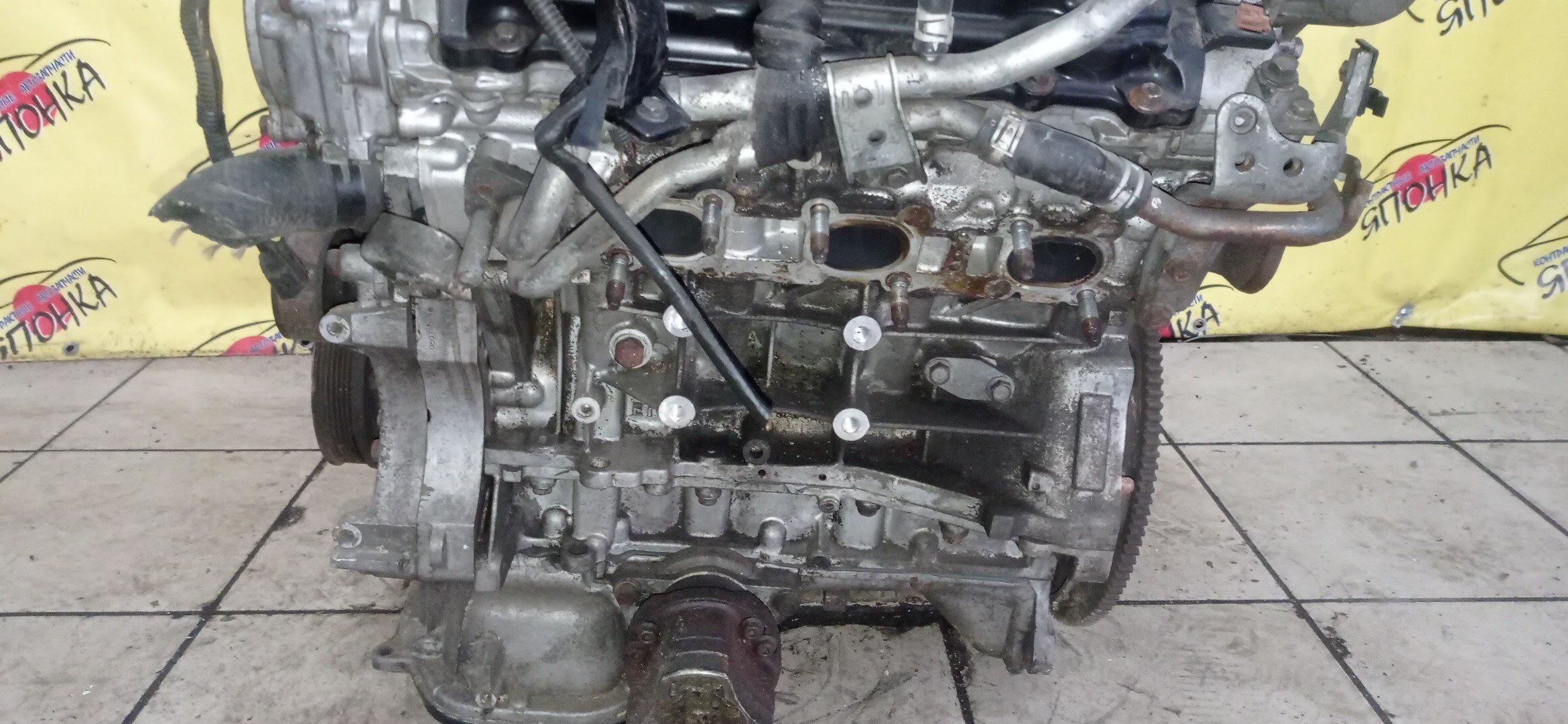 ДВС/NIS/VQ37-VHR/370Z/EX37/FAIRLADY Z/FUGA/FX37/G37/M37/Q40/Q60/Q70/QX50/QX70/SKYLINE/SKYLINE CROSSOVER/CKV36/CV36/HZ34/J50/KNY51/KV36/KY51/NJ50/S51/V36/Y51/Z34/101021NCMB