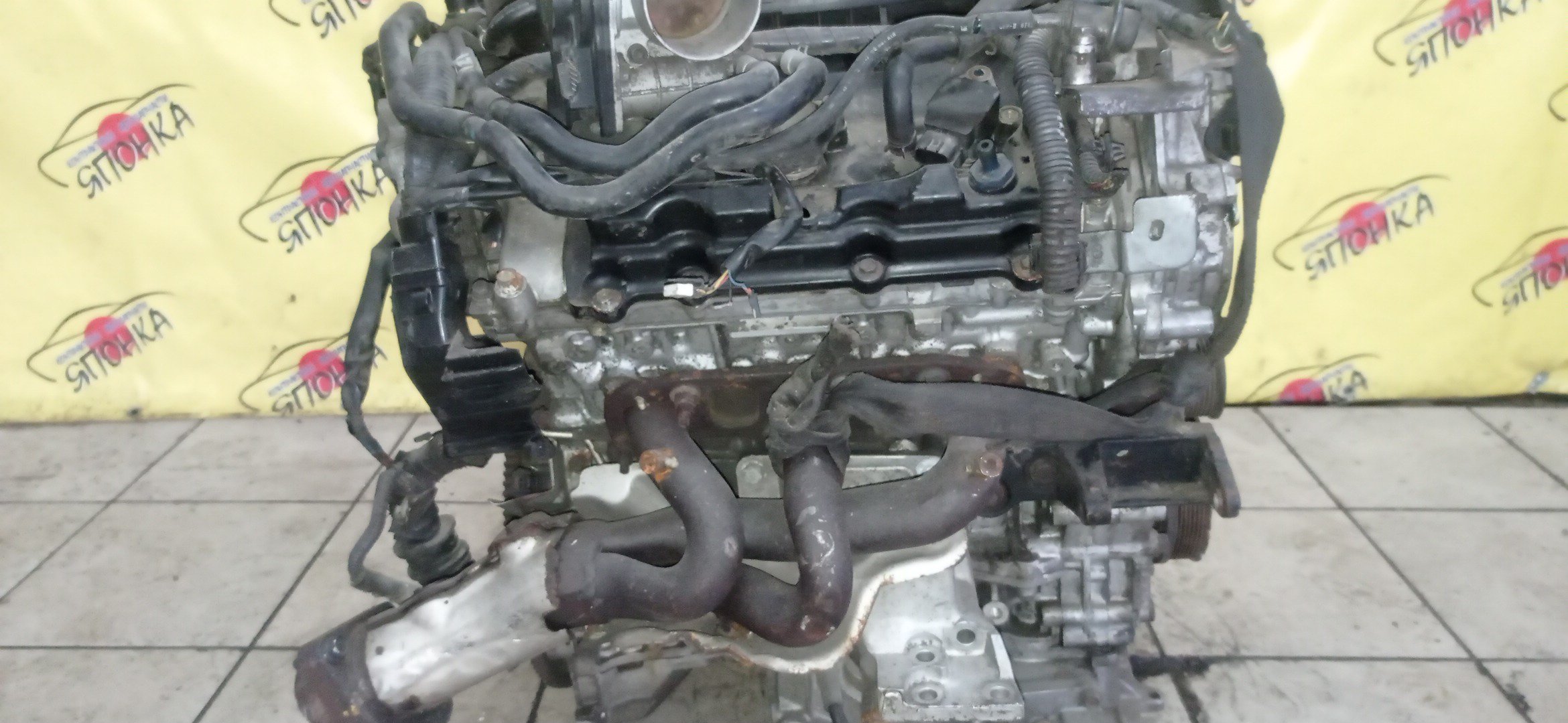 ДВС/NIS/VQ37-VHR/370Z/EX37/FAIRLADY Z/FUGA/FX37/G37/M37/Q40/Q60/Q70/QX50/QX70/SKYLINE/SKYLINE CROSSOVER/CKV36/CV36/HZ34/J50/KNY51/KV36/KY51/NJ50/S51/V36/Y51/Z34/101021NCMB