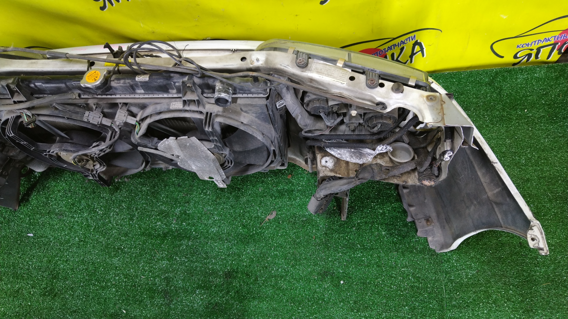 NOSECUT/NIS/PRIMERA/P11/HP11/QP11/HNP11/WHNP11/2 МОДЕЛЬ