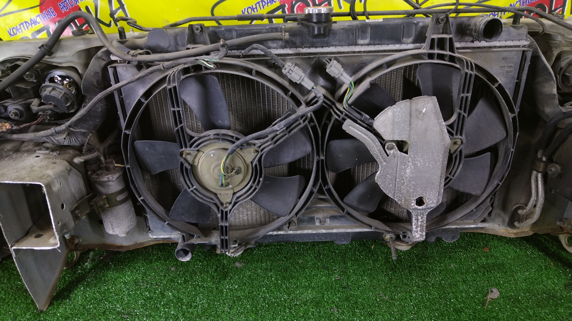 NOSECUT/NIS/PRIMERA/P11/HP11/QP11/HNP11/WHNP11/2 МОДЕЛЬ