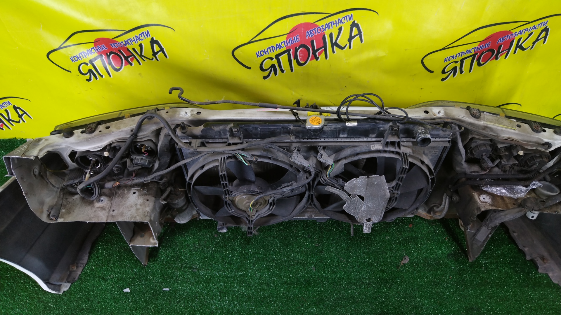 NOSECUT/NIS/PRIMERA/P11/HP11/QP11/HNP11/WHNP11/2 МОДЕЛЬ