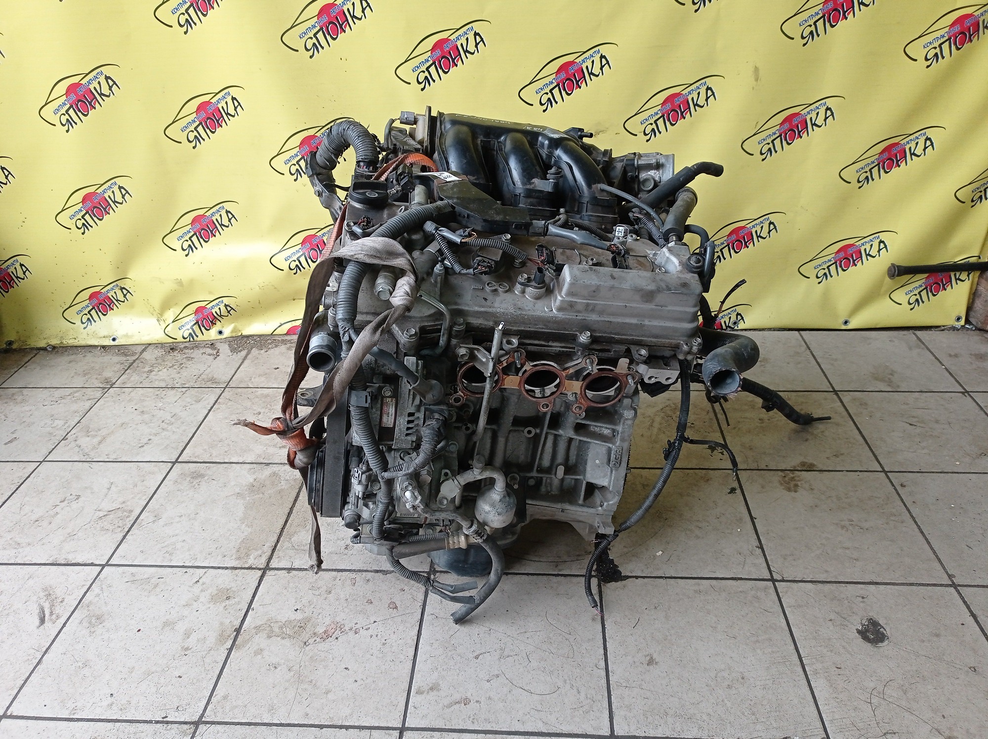 ДВС/TOY/2GR-FE/LEXUS/ALPHARD/AVALON/BLADE/CAMRY/ESTIMA/HARRIER/HIGHLANDER/MARK X ZIO/RX350/SIENNA/VELLFIRE/VENZA/GGA10/GGH20W/GGH25W/GGH30W/GGH35W/GGV10/GGV15/GRE156H/GSL20/GSL25/GSL30/GSL35/GSR50W/GSR55W/GSU30/GSU30W/GSU31W/GSU35/GSU35W/GSU36W/GSU40/GSU45/GSU50/GSU55/GSV40/GSV50/GSX30/GSX40