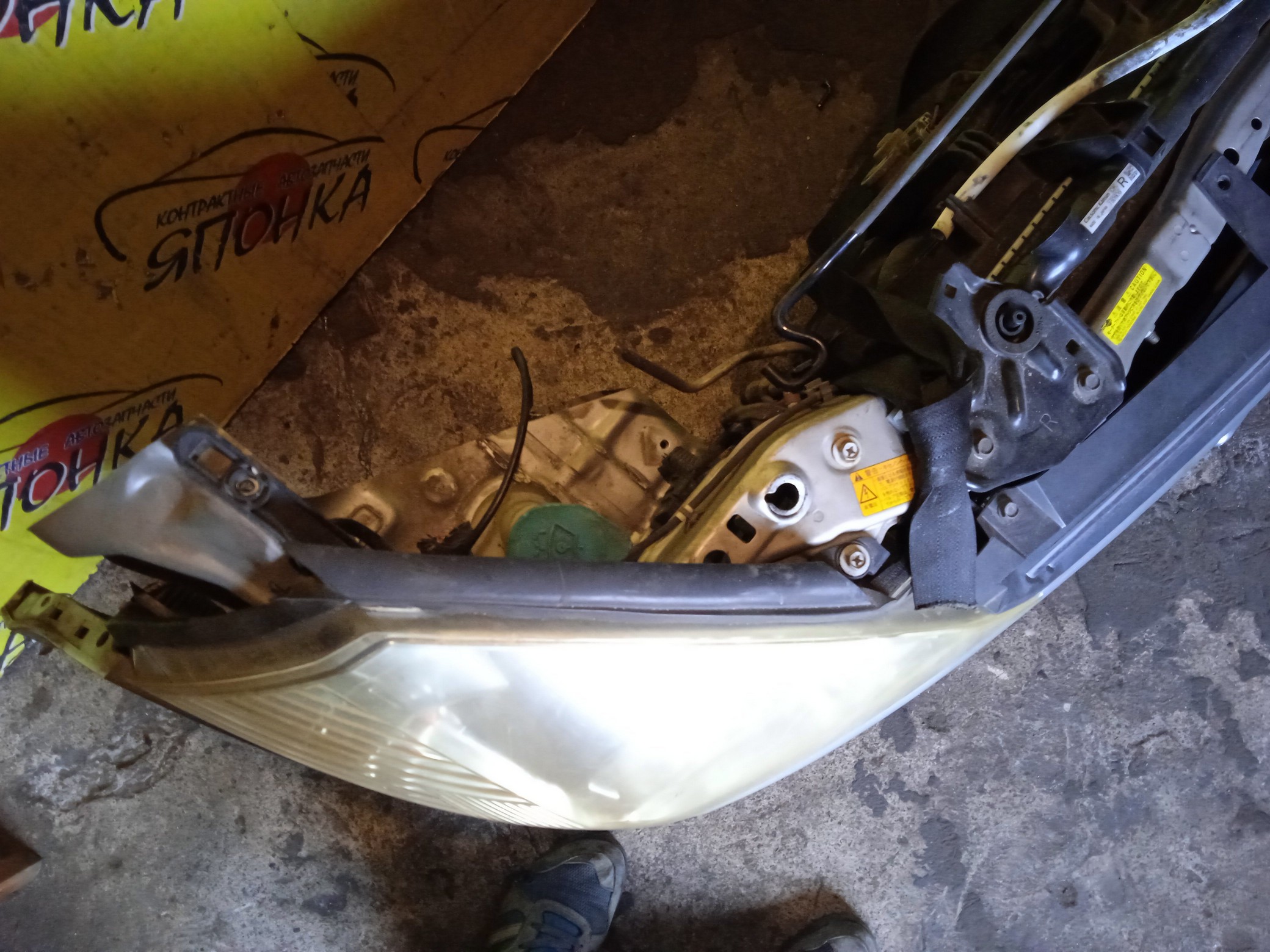 NOSECUT/NIS/WINGROAD/Y11/XENON/ТУМАНКИ/2 МОДЕЛЬ/62500WE000/62500WD000/62030WE000