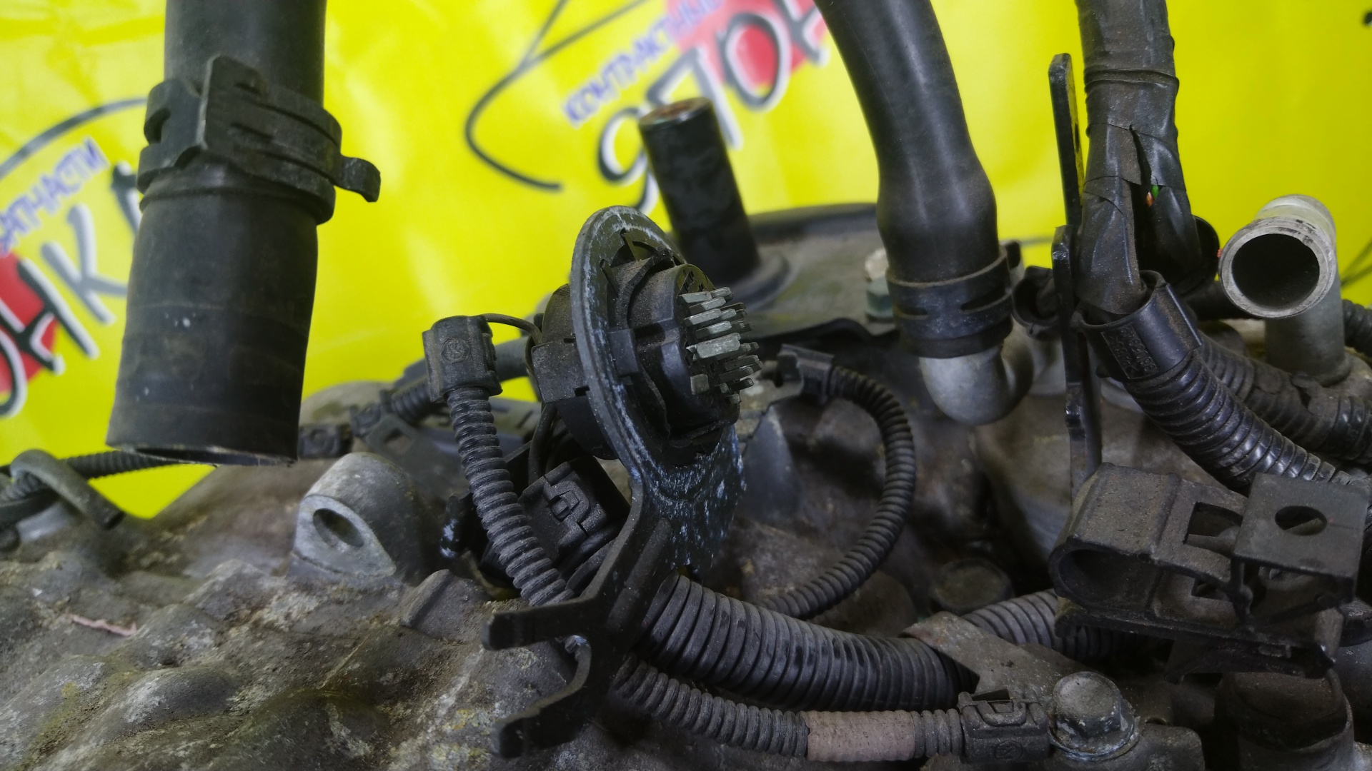 АКПП/VW/AUA/BBY/BKY/SEAT/SKODA/CORDOBA/IBIZA/POLO/9N1/9N2/9N3/6L1/6L2/6Y2/6Y3/6Y5/9N4/2WD