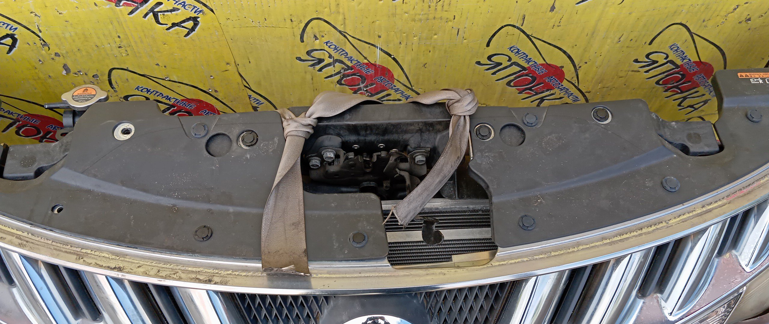 NOSECUT/NIS/MURANO/PNZ51/TNZ51/TZ51/Z51/С ТУМАНКАМИ/XENON/1 МОДЕЛЬ