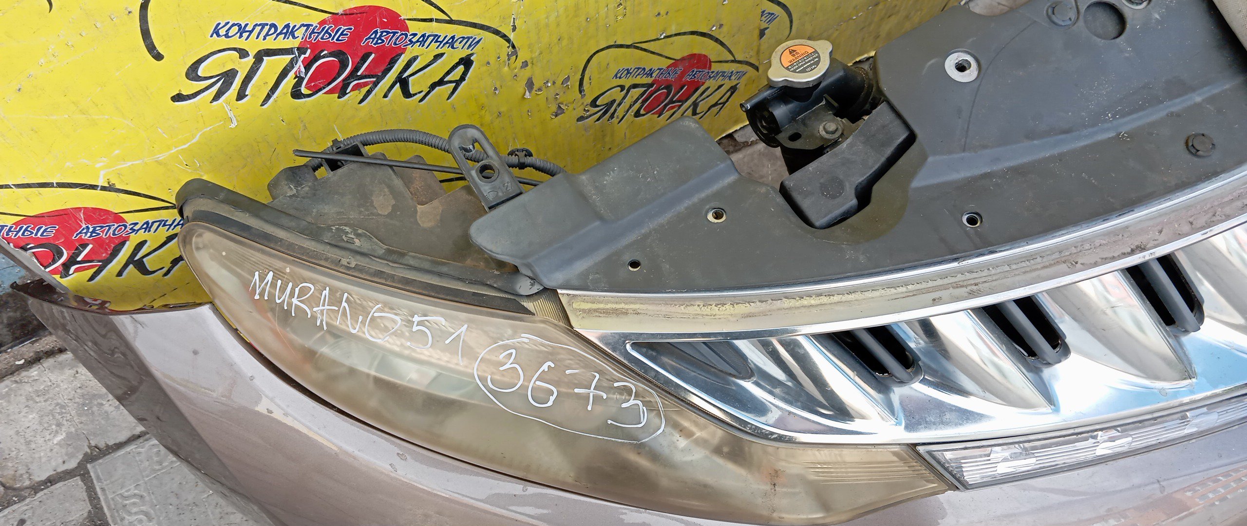 NOSECUT/NIS/MURANO/PNZ51/TNZ51/TZ51/Z51/С ТУМАНКАМИ/XENON/1 МОДЕЛЬ