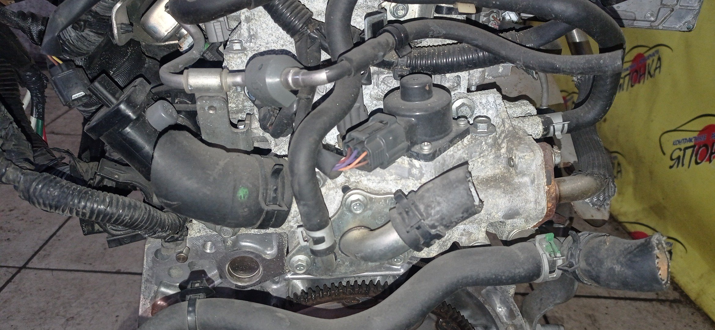 ДВС/NIS/HR15/CUBE/WINGROAD/FAMILIA VAN/MARCH/AD/BLUEBIRD SYLPHY/NOTE/TIIDA/TIIDA LATIO/JUKE/AD EXPERT/C11/E11/SC11/NE11/NC11/SNC11/G11/Z12/YZ11/YK12/NY12/VY12/Y12/NG11/NZ12/YGNZ11/YGZ11/BVY12/YF15/NEW/101021JY0F