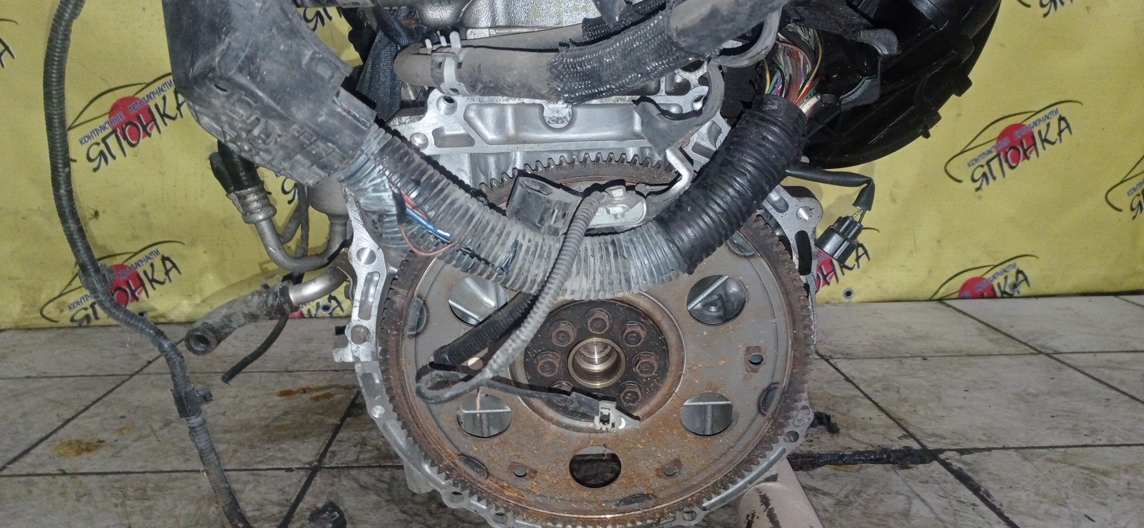 ДВС/TOY/2AZ-FE/2AZ/DAIHATSU/ALPHARD/ALTIS/BLADE/CAMRY/ESTIMA/HARRIER/HIGHLANDER/KLUGER V/MARK X ZIO/RAV4/SOLARA/PREVIA/VELLFIRE/IPSUM/ACA20/ACA20W/ACA21/ACA21W/ACA23/ACA26/ACA28/ACA31W/ACA33/ACA36W/ACA38/ACR30W/ACR40W/ACR50W/ACR55W/ACU10W/ACU15W/ACU20/ACU20W/ACU25W/ACU30W/ACU35W/ACV30/ACV30N/ACV35/ACV35N/ACV45/ACV40N/ACV40/ACV45N/ANA10/ANA15/ANH10W/ANH15W/ANH20W/ANH25W/AZE154H/AZE156H/ACA31/ACM21W/ACM26W/ЭЛЕКТРО ДРОСЕЛЬ/1900028350/1900028120/1900028D10/190000H330