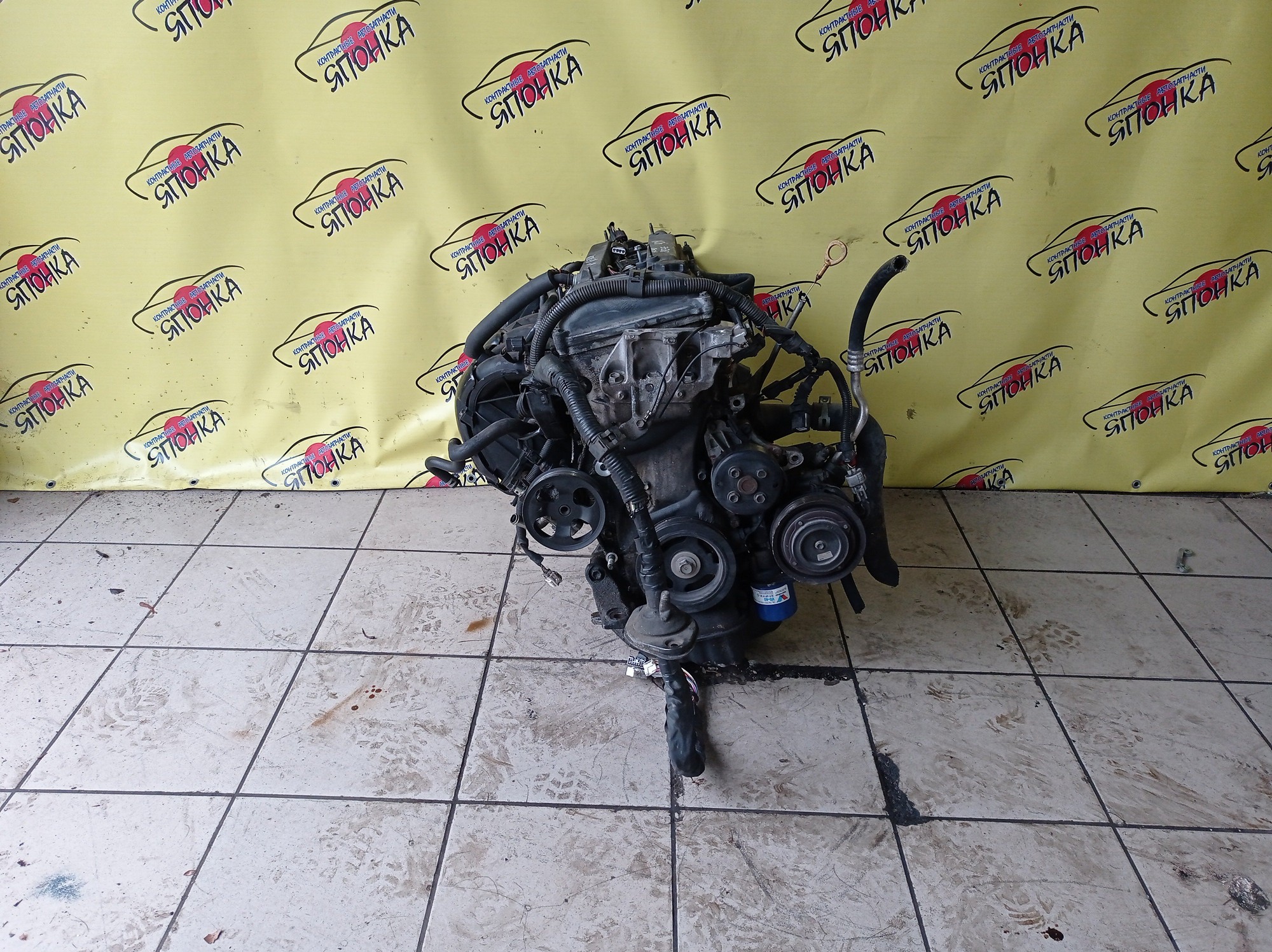 ДВС/TOY/2AZ-FE/2AZ/DAIHATSU/ALPHARD/ALTIS/BLADE/CAMRY/ESTIMA/HARRIER/HIGHLANDER/KLUGER V/MARK X ZIO/RAV4/SOLARA/PREVIA/VELLFIRE/IPSUM/ACA20/ACA20W/ACA21/ACA21W/ACA23/ACA26/ACA28/ACA31W/ACA33/ACA36W/ACA38/ACR30W/ACR40W/ACR50W/ACR55W/ACU10W/ACU15W/ACU20/ACU20W/ACU25W/ACU30W/ACU35W/ACV30/ACV30N/ACV35/ACV35N/ACV45/ACV40N/ACV40/ACV45N/ANA10/ANA15/ANH10W/ANH15W/ANH20W/ANH25W/AZE154H/AZE156H/ACA31/ACM21W/ACM26W/ЭЛЕКТРО ДРОСЕЛЬ/1900028350/1900028120/1900028D10/190000H330