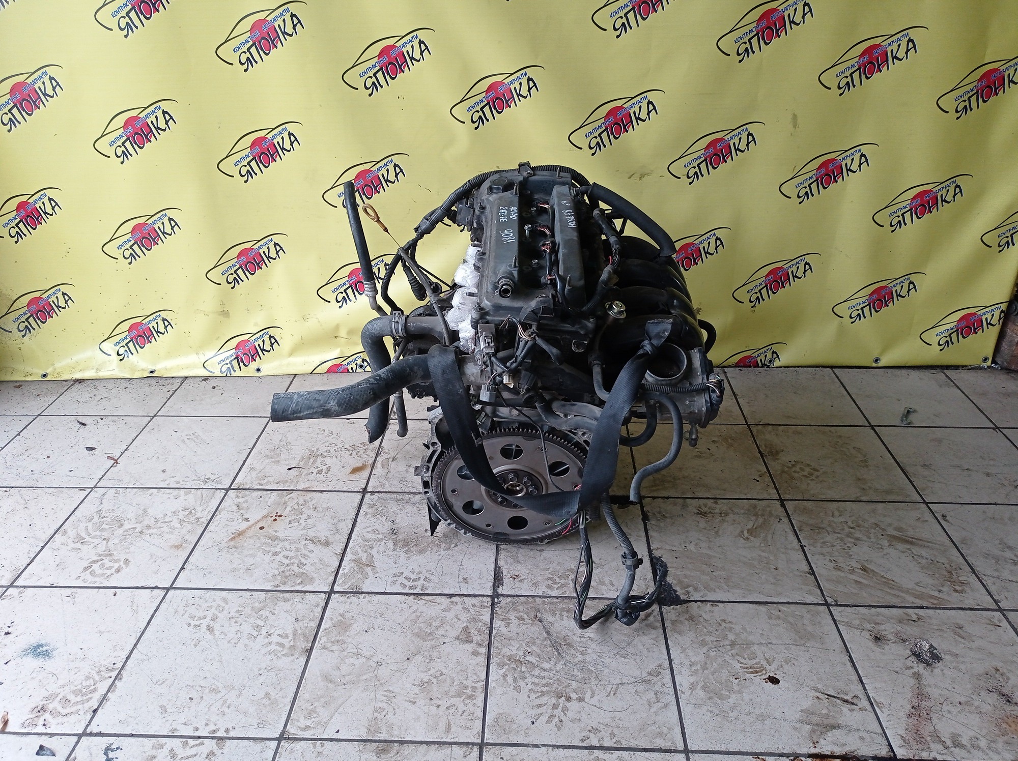 ДВС/TOY/2AZ-FE/2AZ/DAIHATSU/ALPHARD/ALTIS/BLADE/CAMRY/ESTIMA/HARRIER/HIGHLANDER/KLUGER V/MARK X ZIO/RAV4/SOLARA/PREVIA/VELLFIRE/IPSUM/ACA20/ACA20W/ACA21/ACA21W/ACA23/ACA26/ACA28/ACA31W/ACA33/ACA36W/ACA38/ACR30W/ACR40W/ACR50W/ACR55W/ACU10W/ACU15W/ACU20/ACU20W/ACU25W/ACU30W/ACU35W/ACV30/ACV30N/ACV35/ACV35N/ACV45/ACV40N/ACV40/ACV45N/ANA10/ANA15/ANH10W/ANH15W/ANH20W/ANH25W/AZE154H/AZE156H/ACA31/ACM21W/ACM26W/ЭЛЕКТРО ДРОСЕЛЬ/1900028350/1900028120/1900028D10/190000H330
