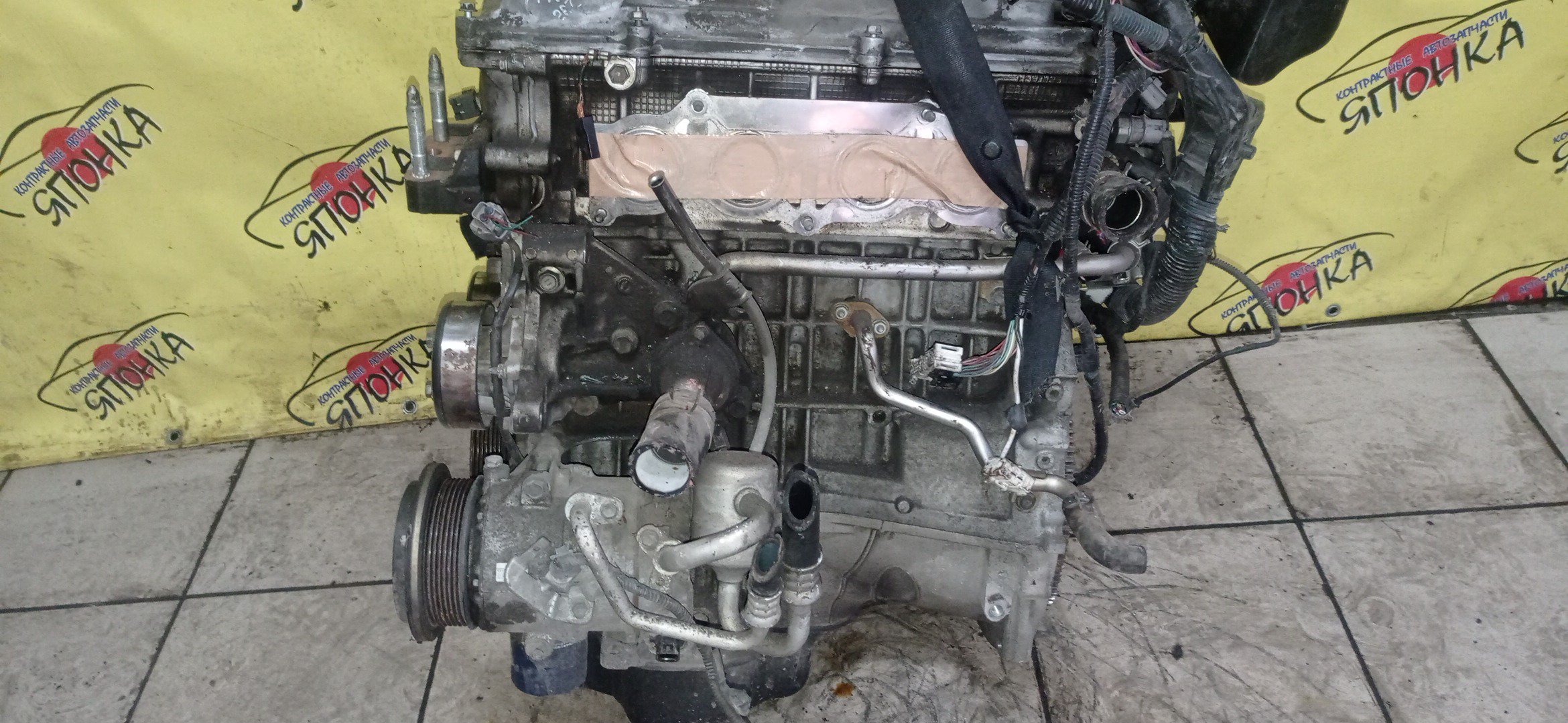 ДВС/TOY/2AZ-FE/2AZ/DAIHATSU/ALPHARD/ALTIS/BLADE/CAMRY/ESTIMA/HARRIER/HIGHLANDER/KLUGER V/MARK X ZIO/RAV4/SOLARA/PREVIA/VELLFIRE/IPSUM/ACA20/ACA20W/ACA21/ACA21W/ACA23/ACA26/ACA28/ACA31W/ACA33/ACA36W/ACA38/ACR30W/ACR40W/ACR50W/ACR55W/ACU10W/ACU15W/ACU20/ACU20W/ACU25W/ACU30W/ACU35W/ACV30/ACV30N/ACV35/ACV35N/ACV45/ACV40N/ACV40/ACV45N/ANA10/ANA15/ANH10W/ANH15W/ANH20W/ANH25W/AZE154H/AZE156H/ACA31/ACM21W/ACM26W/ЭЛЕКТРО ДРОСЕЛЬ/1900028350/1900028120/1900028D10/190000H330