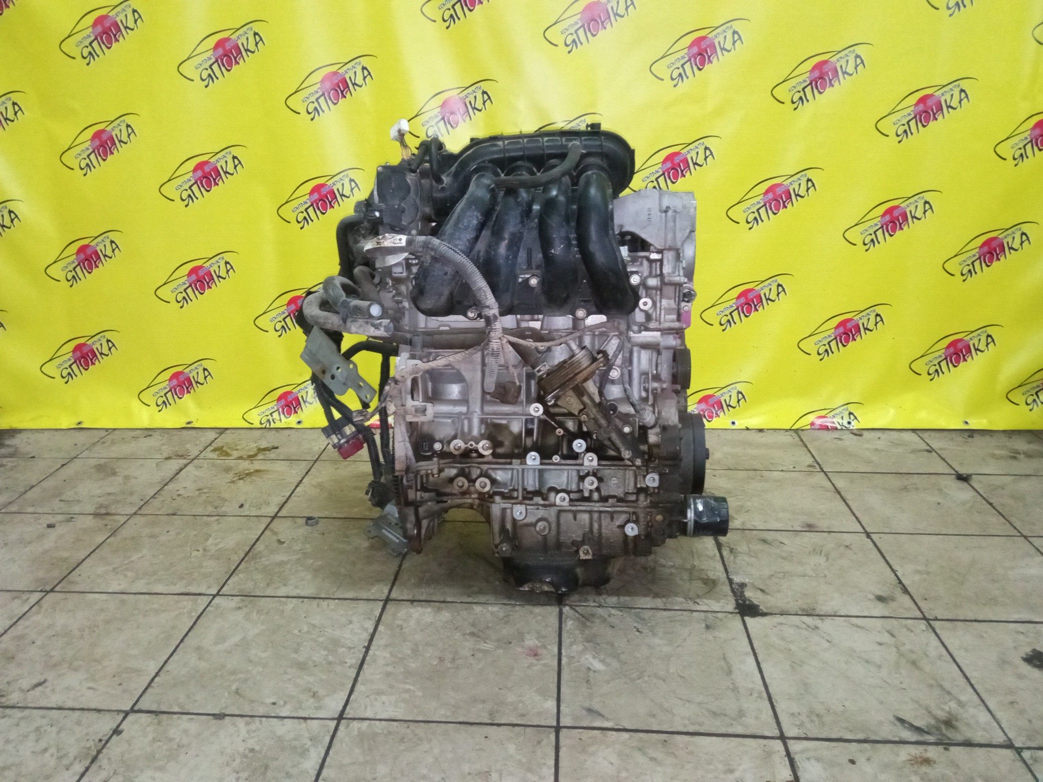 ДВС/NIS/QR25DE/ELGRAND/MURANO/TEANA/X-TRAIL/TE52/TNE52/TNJ32/TNT31/TNZ51/TZ51/4WD