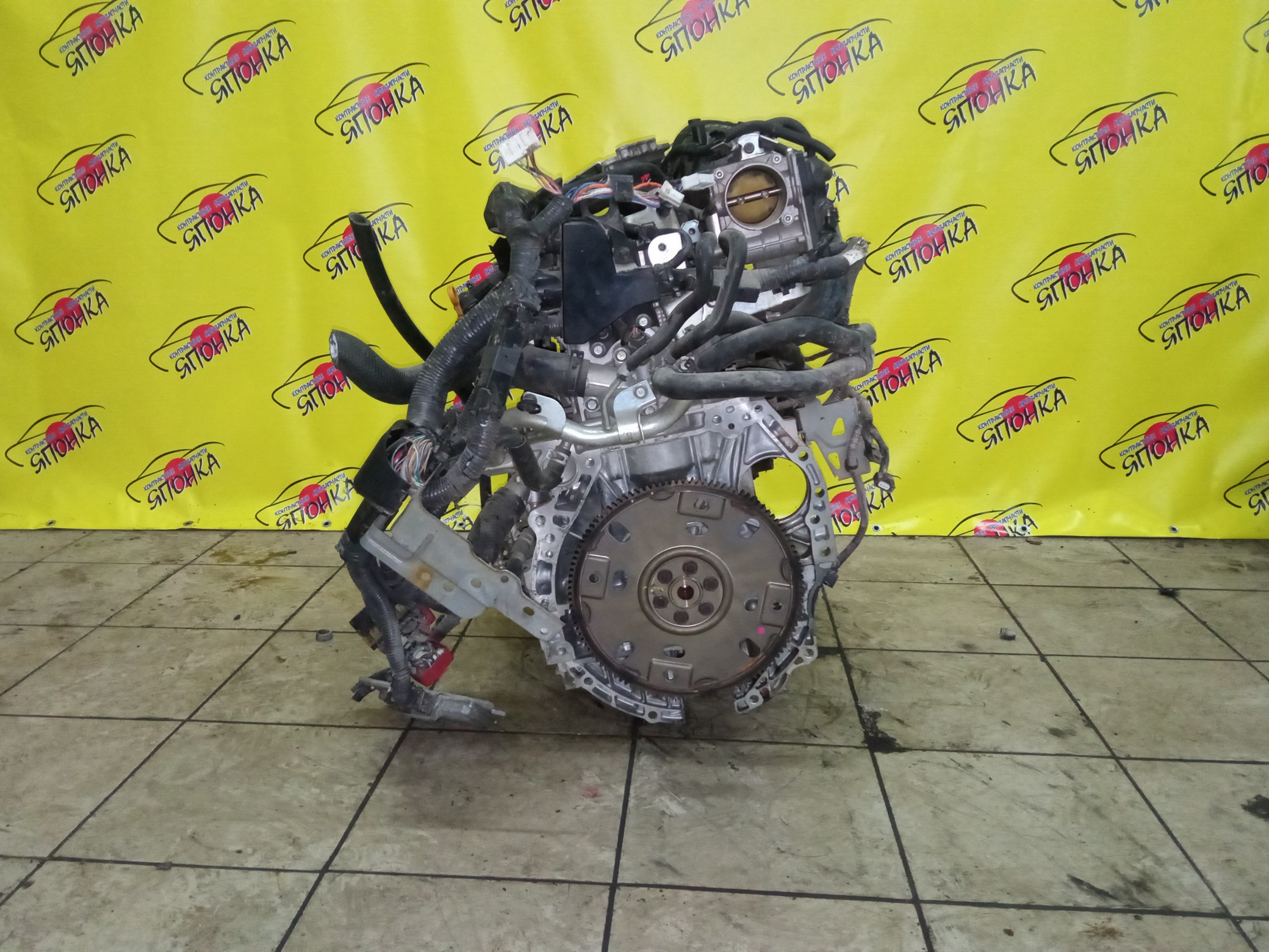 ДВС/NIS/QR25DE/ELGRAND/MURANO/TEANA/X-TRAIL/TE52/TNE52/TNJ32/TNT31/TNZ51/TZ51/4WD