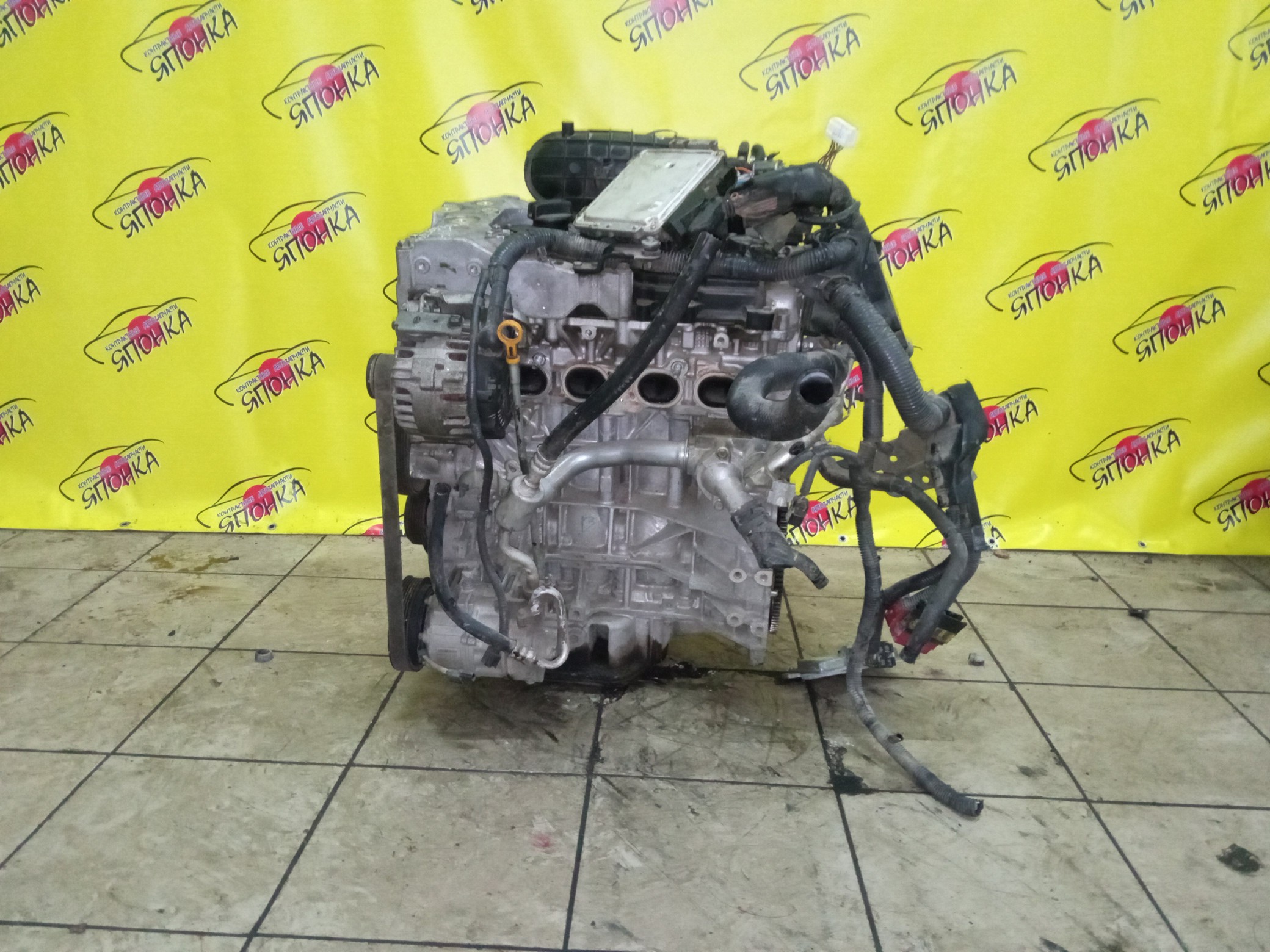 ДВС/NIS/QR25DE/ELGRAND/MURANO/TEANA/X-TRAIL/TE52/TNE52/TNJ32/TNT31/TNZ51/TZ51/4WD