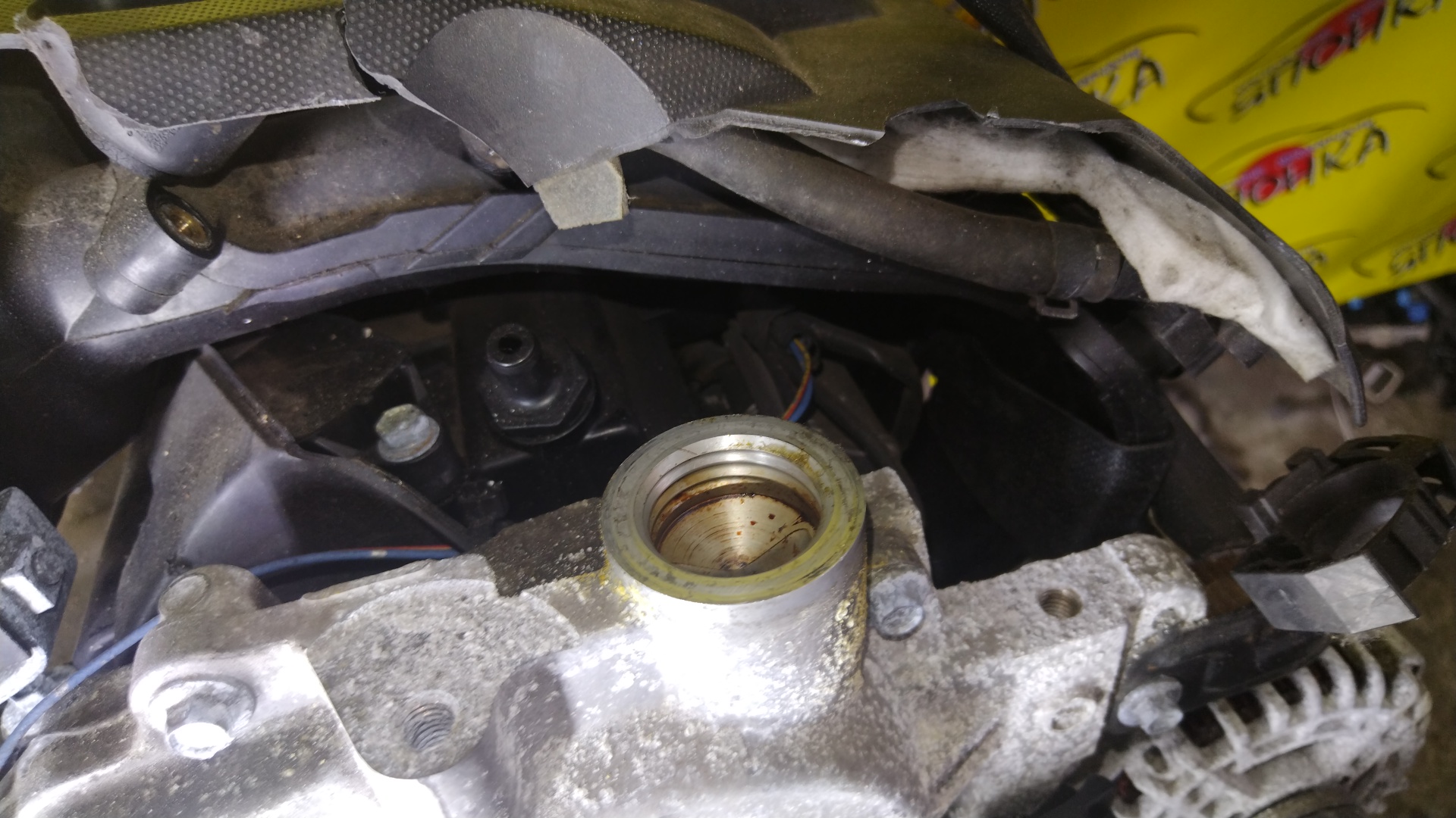 ДВС/NIS/MR20DE/SUZUKI/BLUEBIRD SYLPHY/DUALIS/LAFESTA/LANDY/QASHQAI2/SERENA/X-TRAIL/B30/C25/CC25/J10/J10E/JJ10E/KG11/KJ10/SC25/T31/NT31/2WD/10102EW0A0/10102EN0AB/10102EN0RB/10102EN1R0/101021GKAA