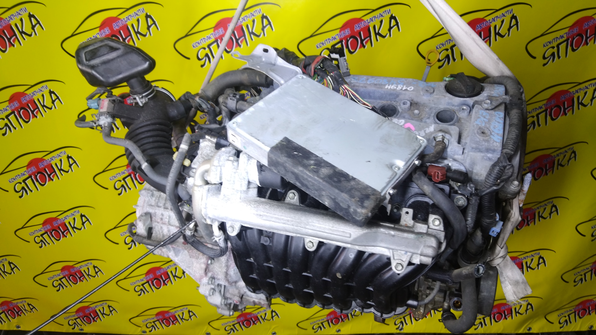 ДВС/TOY/1AZ-FSE(D4)/RAV4/ALLION/AVENSIS/AVENSIS WAGON/CALDINA/GAIA/ISIS/NADIA/NOAH/OPA/PREMIO/VISTA/VISTA ARDEO/VOXY/WISH/ACA20W/ACA21W/ZCA25W/ZCA26W/ACM10G/ACM15G/ACN10/ACN10H/ACN15/ACN15H/ACT10/ANE10G/ANE11/ANM10G/ANM10W/ANM15G/ANM15W/AZR60G/AZR65G/AZT240/AZT241W/AZT246W/AZT250/AZT250W/AZV50/AZV50G/AZV55/AZV55G/ЭЛЕКТРО ДРОСЕЛЬ/1900028330