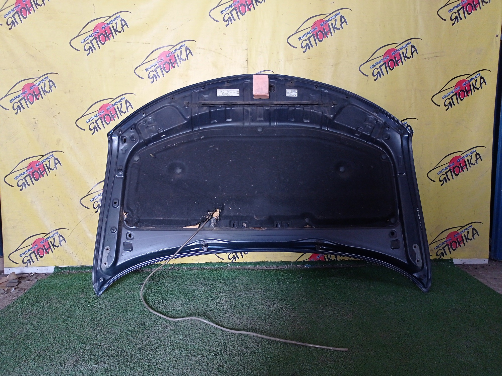 КАПОТ/TOY/ALLION/NZT260/ZRT265/ZRT260/ZRT261/1 МОДЕЛЬ/5330120630/7577020140