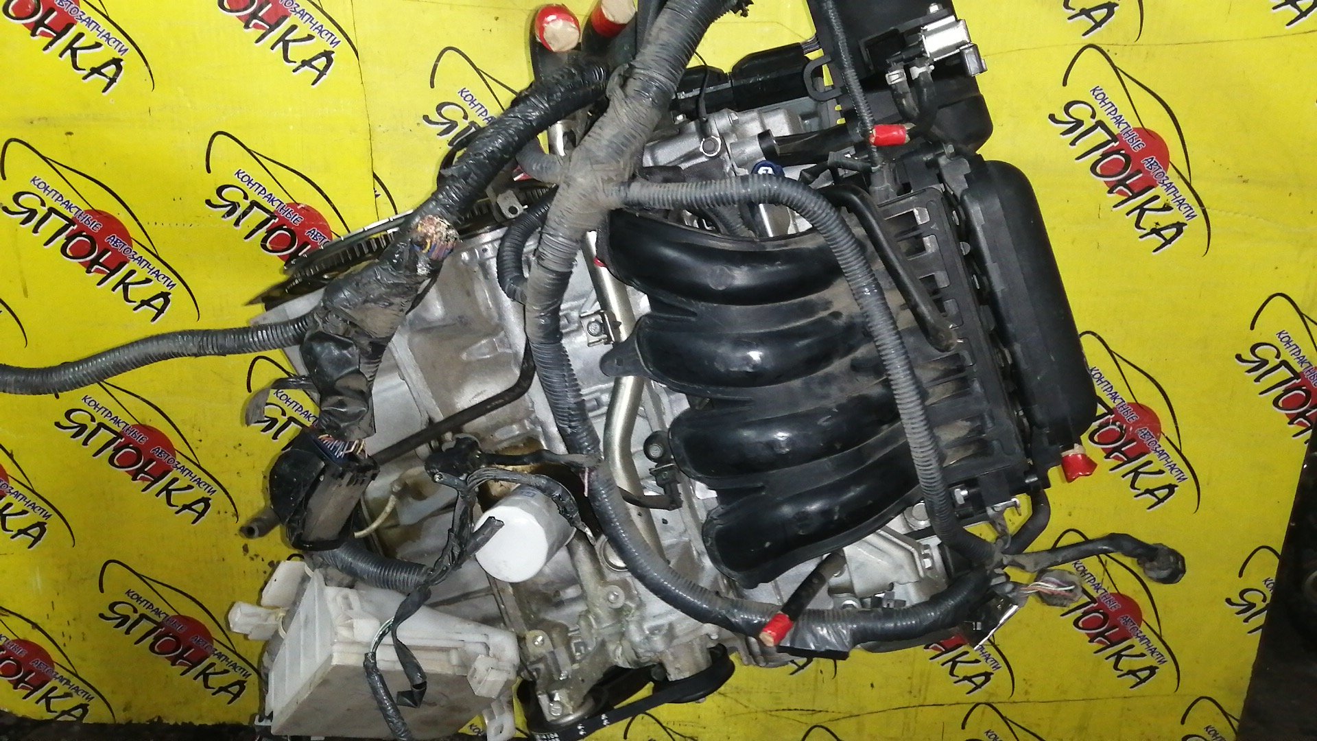 ДВС/NIS/CR12/AD EXPERT/FAMILIA VAN/MARCH/AK12/BVAY12/VAY12/1010BAY460