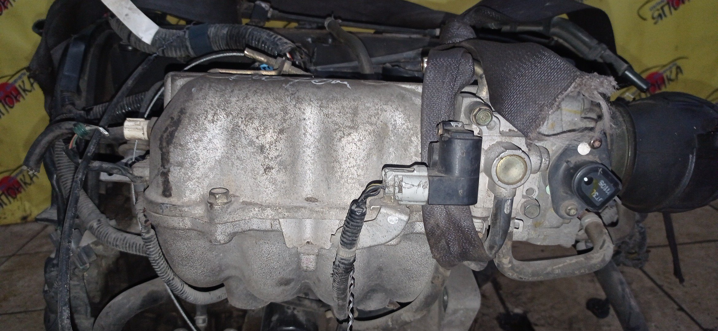 ДВС/HON/F20B/ACCORD/TORNEO/CF3/CF4/VTEC/НЕ SIR/11000PCA803