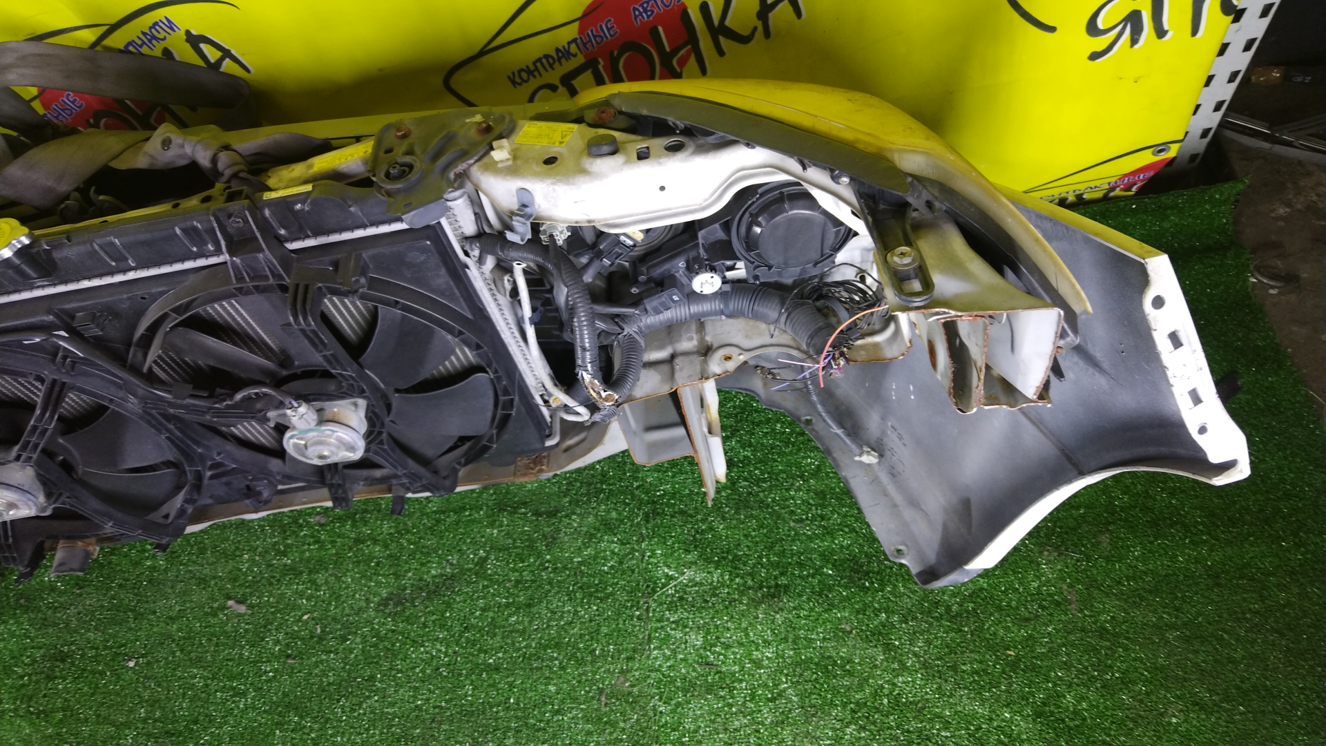 NOSECUT/NIS/WINGROAD/Y11/XENON/2 МОДЕЛЬ/62500WE000/62500WD000/62030WE000