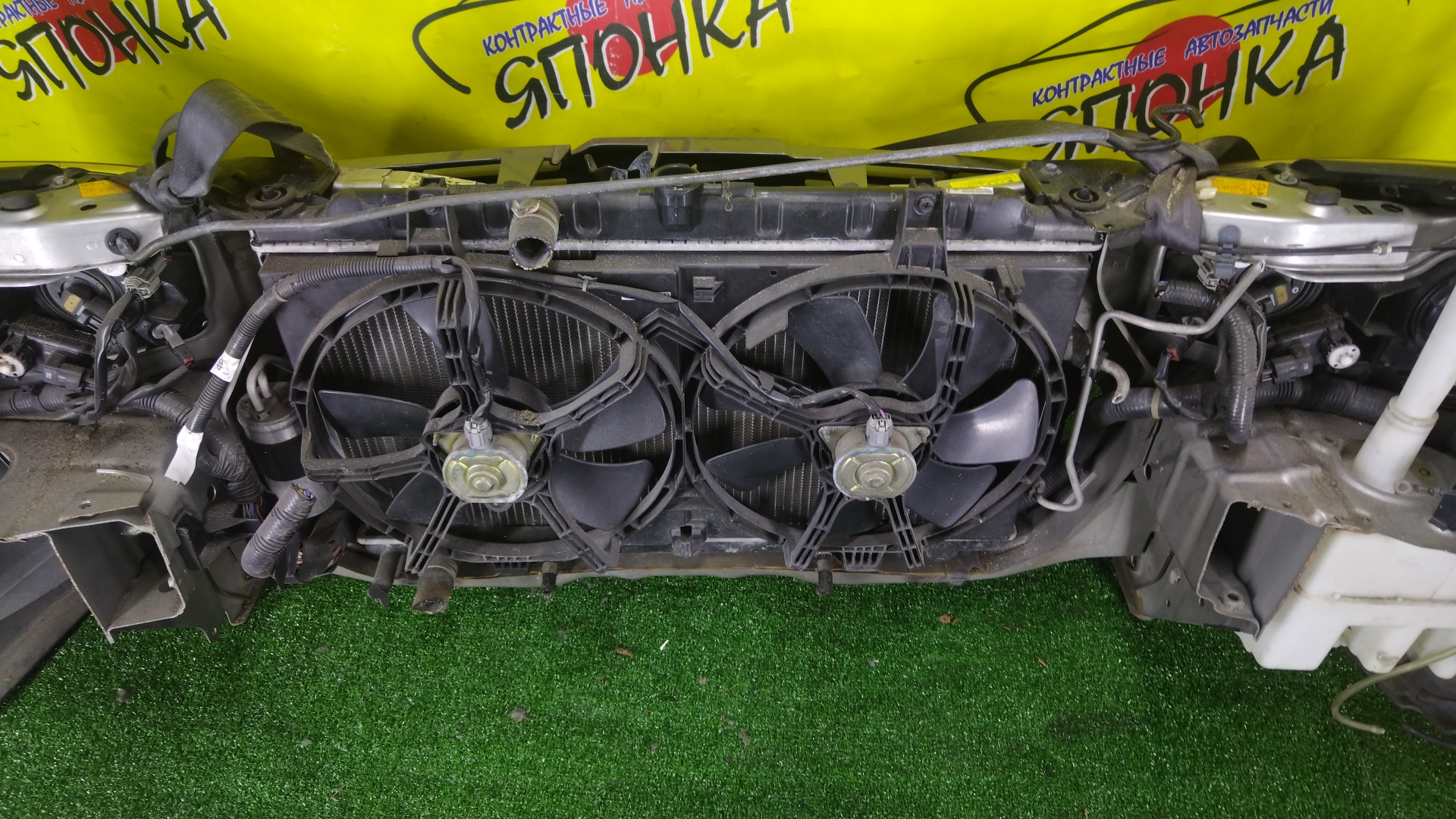 NOSECUT/NIS/WINGROAD/Y11/XENON/2 МОДЕЛЬ/62500WE000/62500WD000/62030WE000