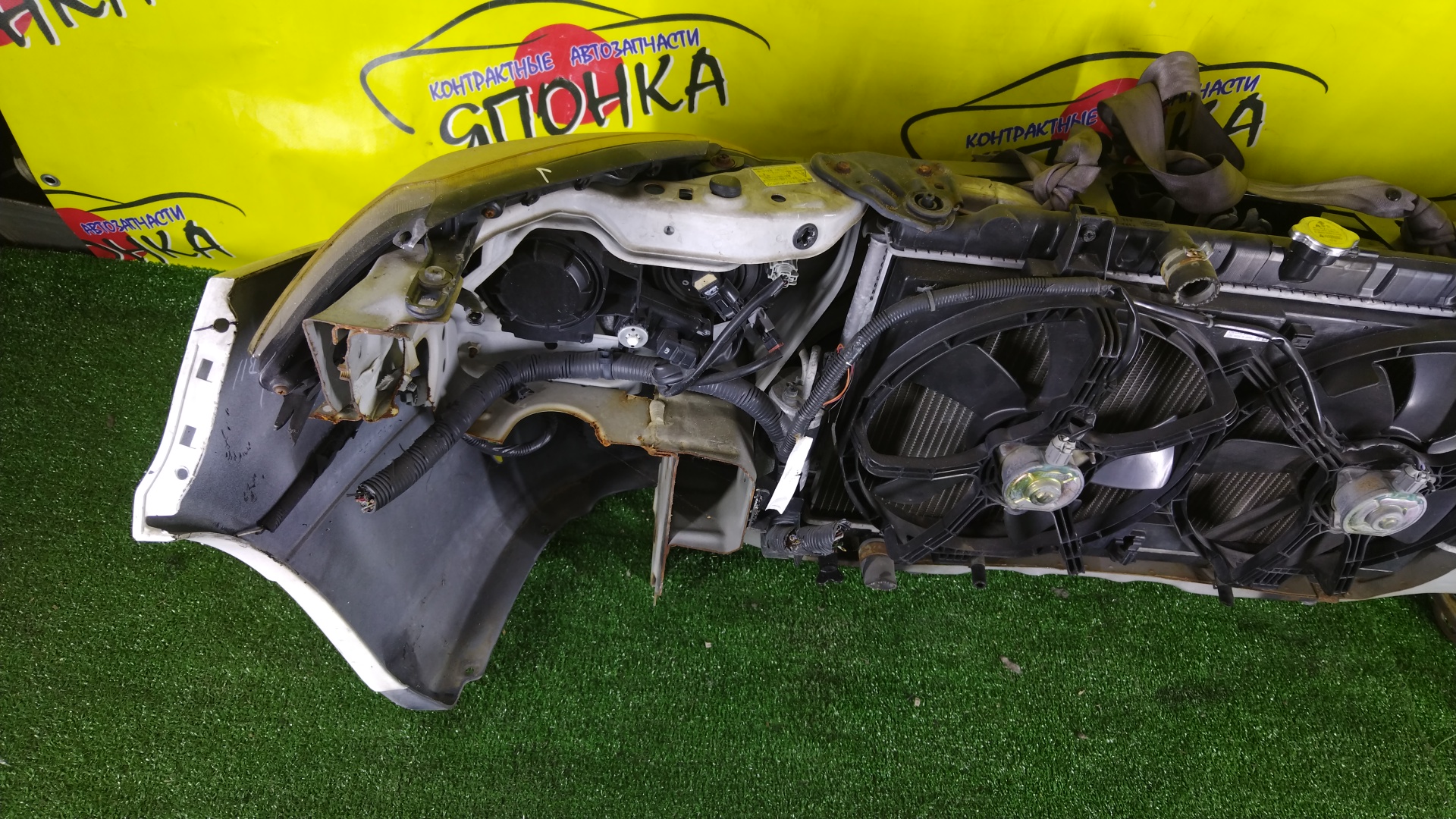NOSECUT/NIS/WINGROAD/Y11/XENON/2 МОДЕЛЬ/62500WE000/62500WD000/62030WE000