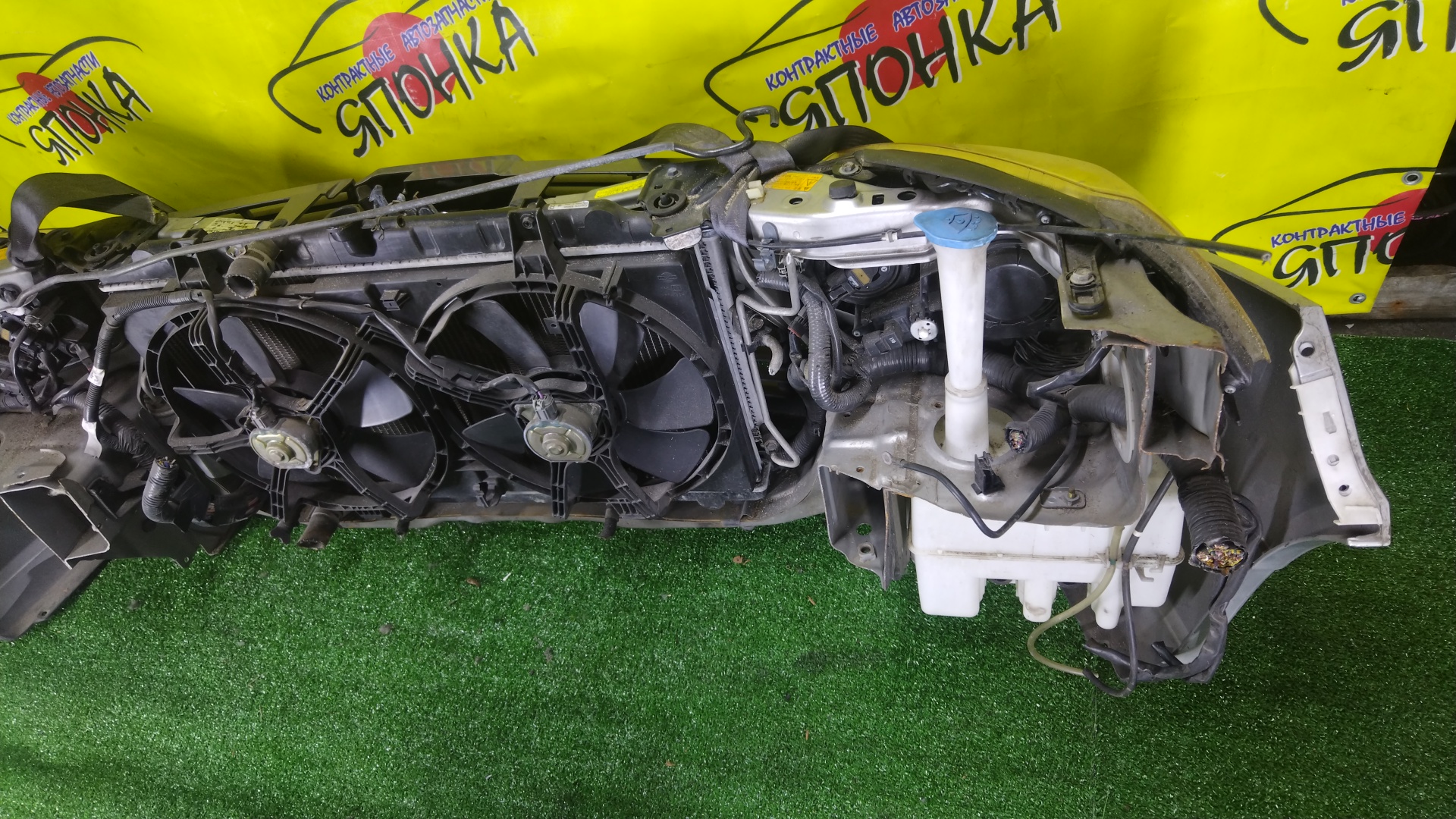 NOSECUT/NIS/WINGROAD/Y11/XENON/2 МОДЕЛЬ/62500WE000/62500WD000/62030WE000