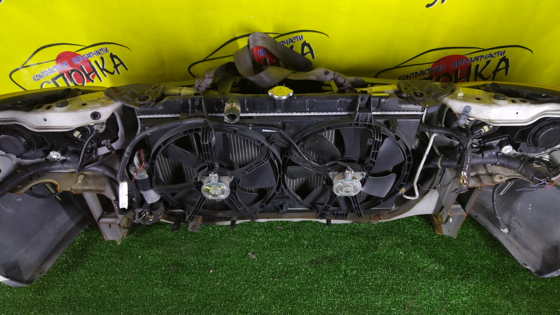 NOSECUT/NIS/WINGROAD/Y11/XENON/2 МОДЕЛЬ/62500WE000/62500WD000/62030WE000