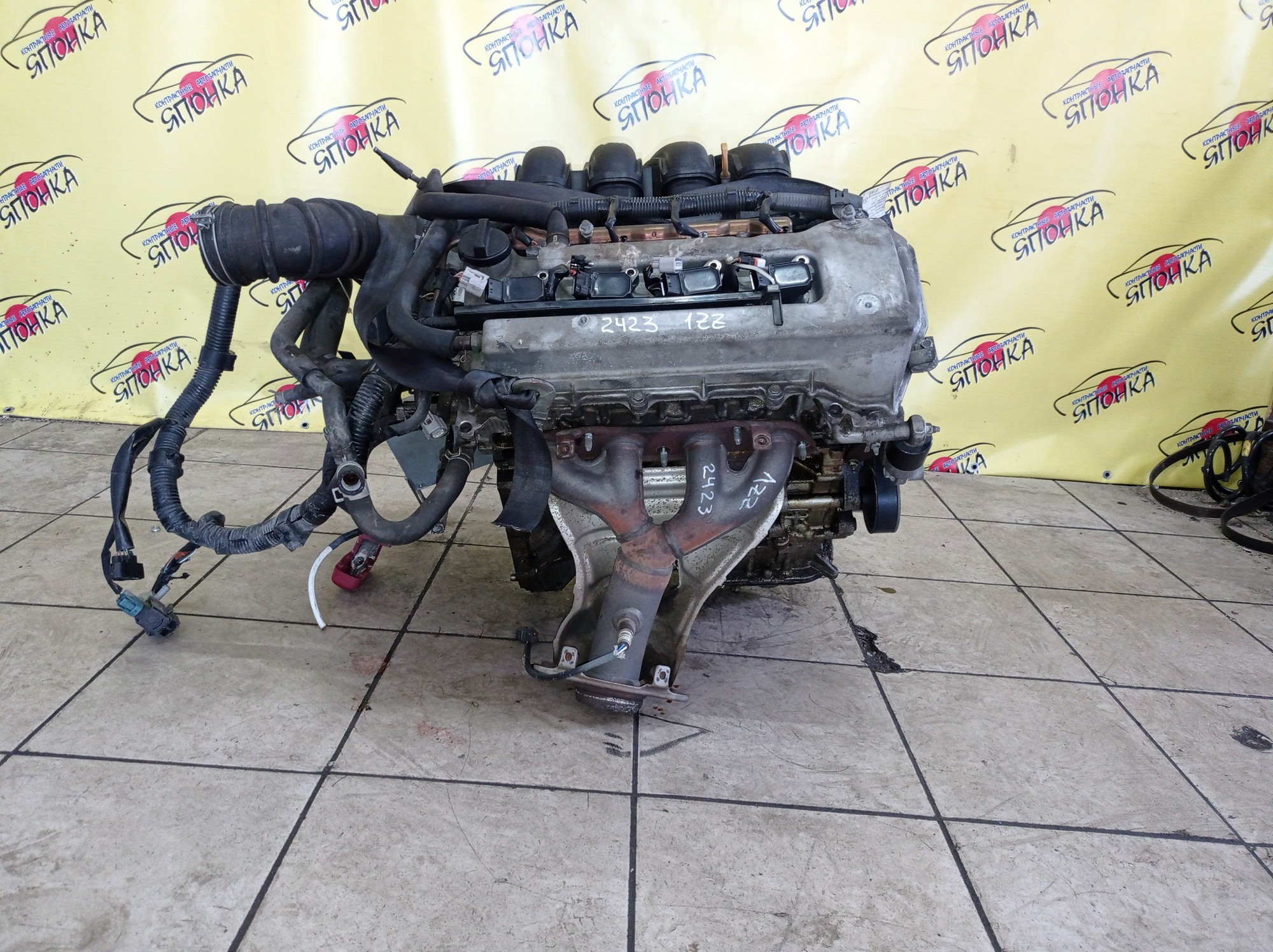 ДВС/TOY/1ZZ/COROLLA/CELICA/CALDINA/RAV4/VISTA/AVENSIS/WILL VS/SPACIO/WISH/OPA/PREMIO/ALLION/COROLLA VERSO/ALLEX/FIELDER/ISIS/RUNX/VISTA ARDEO/MR-S/VOLTZ/ZCA25W/ZCA26W/ZCT10/ZCT15/ZNE10G/ZNE14G/ZNM10G/ZNM10W/ZNR11/ZZE122/ZZE122G/ZZE122N/ZZE124/ZZE124G/ZZE124N/ZZE127/ZZE129/ZZE136/ZZE138/ZZT221/ZZT230/ZZT240/ZZT241W/ZZT245/ZZT251/ZZV50/ZZV50G/ZZW30/МЕХАНИЧЕСКАЯ ЗАСЛОНКА/ВПУСК ПЛАСТИКОВЫЙ/1900022080/1900022081