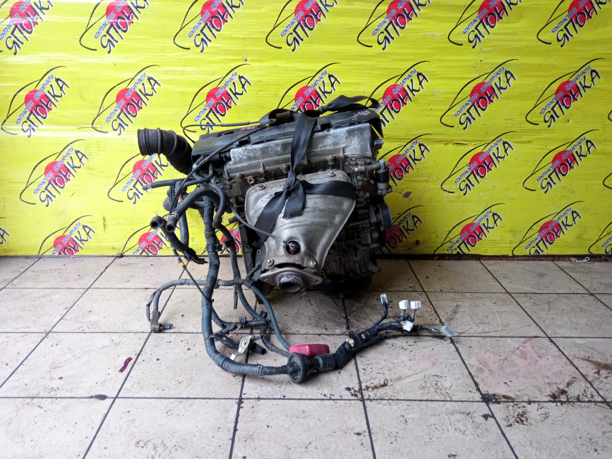 ДВС/TOY/1ZZ/COROLLA/CELICA/CALDINA/RAV4/VISTA/AVENSIS/WILL VS/SPACIO/WISH/OPA/PREMIO/ALLION/COROLLA VERSO/ALLEX/FIELDER/ISIS/RUNX/VISTA ARDEO/MR-S/VOLTZ/ZCA25W/ZCA26W/ZCT10/ZCT15/ZNE10G/ZNE14G/ZNM10G/ZNM10W/ZNR11/ZZE122/ZZE122G/ZZE122N/ZZE124/ZZE124G/ZZE124N/ZZE127/ZZE129/ZZE136/ZZE138/ZZT221/ZZT230/ZZT240/ZZT241W/ZZT245/ZZT251/ZZV50/ZZV50G/ZZW30/МЕХАНИЧЕСКАЯ ЗАСЛОНКА/ВПУСК ПЛАСТИКОВЫЙ/1900022080/1900022081
