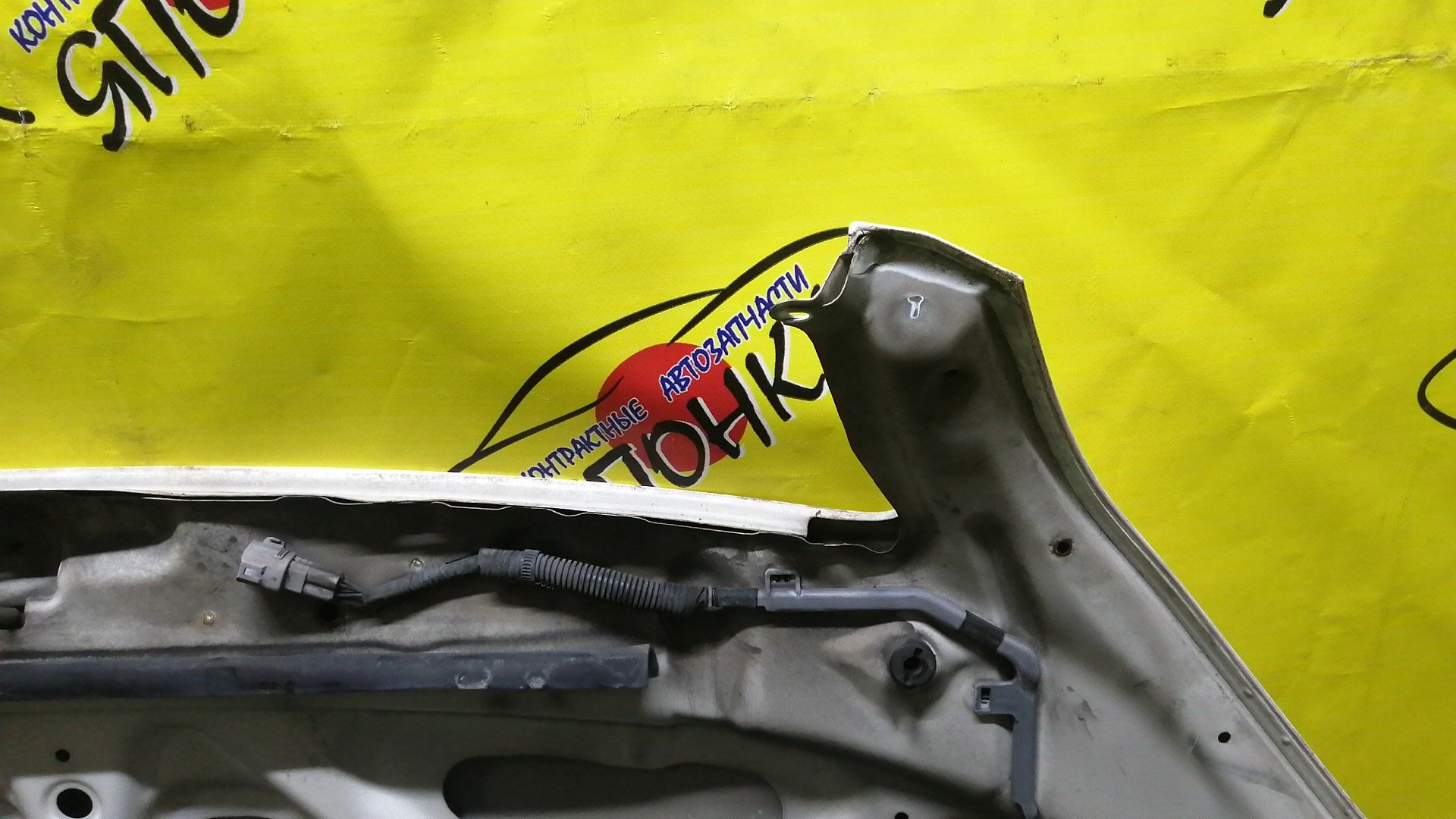 КАПОТ/TOY/IPSUM/ACM21/ACM26/1 МОДЕЛЬ/5330144040