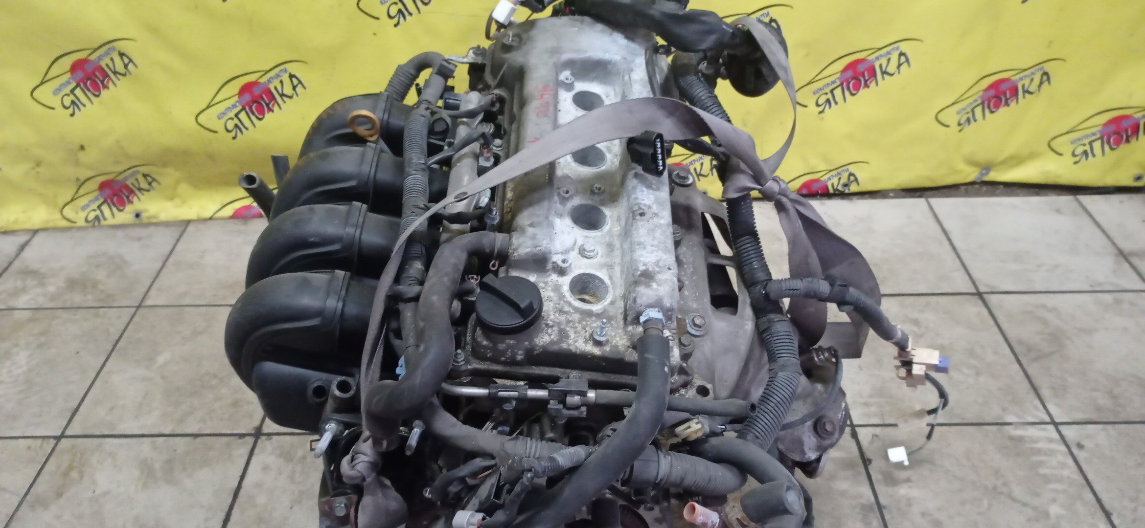 ДВС/TOY/1ZZ/COROLLA/CELICA/CALDINA/RAV4/VISTA/AVENSIS/WILL VS/SPACIO/WISH/OPA/PREMIO/ALLION/COROLLA VERSO/ALLEX/FIELDER/ISIS/RUNX/VISTA ARDEO/MR-S/VOLTZ/ZCA25W/ZCA26W/ZCT10/ZCT15/ZNE10G/ZNE14G/ZNM10G/ZNM10W/ZNR11/ZZE122/ZZE122G/ZZE122N/ZZE124/ZZE124G/ZZE124N/ZZE127/ZZE129/ZZE136/ZZE138/ZZT221/ZZT230/ZZT240/ZZT241W/ZZT245/ZZT251/ZZV50/ZZV50G/ZZW30/МЕХАНИЧЕСКАЯ ЗАСЛОНКА/ВПУСК ПЛАСТИКОВЫЙ/1900022080/1900022081