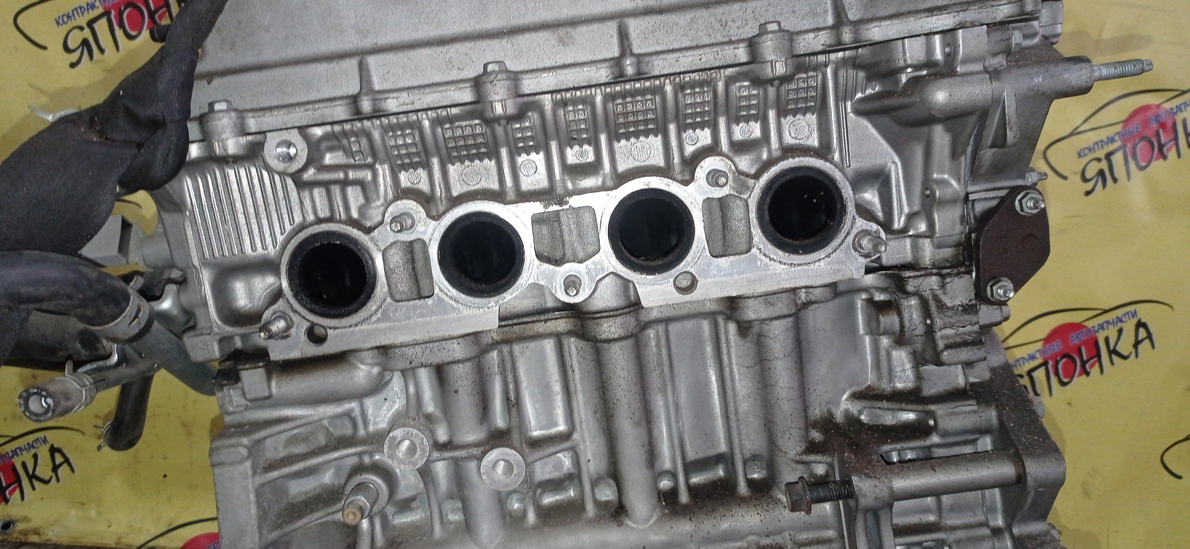 ДВС/TOY/1ZZ/COROLLA/CELICA/CALDINA/RAV4/VISTA/AVENSIS/WILL VS/SPACIO/WISH/OPA/PREMIO/ALLION/COROLLA VERSO/ALLEX/FIELDER/ISIS/RUNX/VISTA ARDEO/MR-S/VOLTZ/ZCA25W/ZCA26W/ZCT10/ZCT15/ZNE10G/ZNE14G/ZNM10G/ZNM10W/ZNR11/ZZE122/ZZE122G/ZZE122N/ZZE124/ZZE124G/ZZE124N/ZZE127/ZZE129/ZZE136/ZZE138/ZZT221/ZZT230/ZZT240/ZZT241W/ZZT245/ZZT251/ZZV50/ZZV50G/ZZW30/МЕХАНИЧЕСКАЯ ЗАСЛОНКА/ВПУСК ПЛАСТИКОВЫЙ/1900022080/1900022081