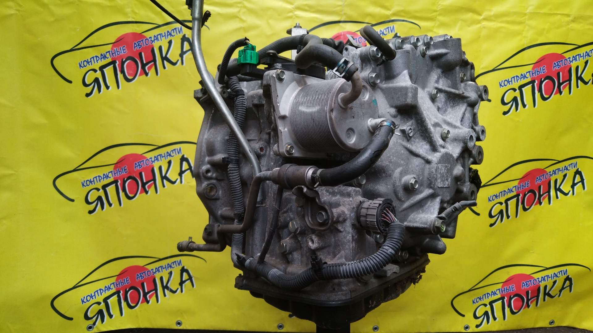 АКПП/NIS/MR20/X-TRAIL/LAFESTA/SERENA/BLUEBIRD SYLPHY/QASHQAI/DUALIS/J10/T31/KG11/B30/NB30/C25/CC25/KJ10/2WD/RE0F10AGB57/CVT/310201XF05/310201XF0D/310201XF2B/310201XT0C/310201XT1A/310203UX8A/310201XT0A/310201XT0E/310201XT2B/310201XF00/310201XF1A/310201XF1E/310201XF02/310203UX4E/310201XF0B/2000250Z10/310201XT2C