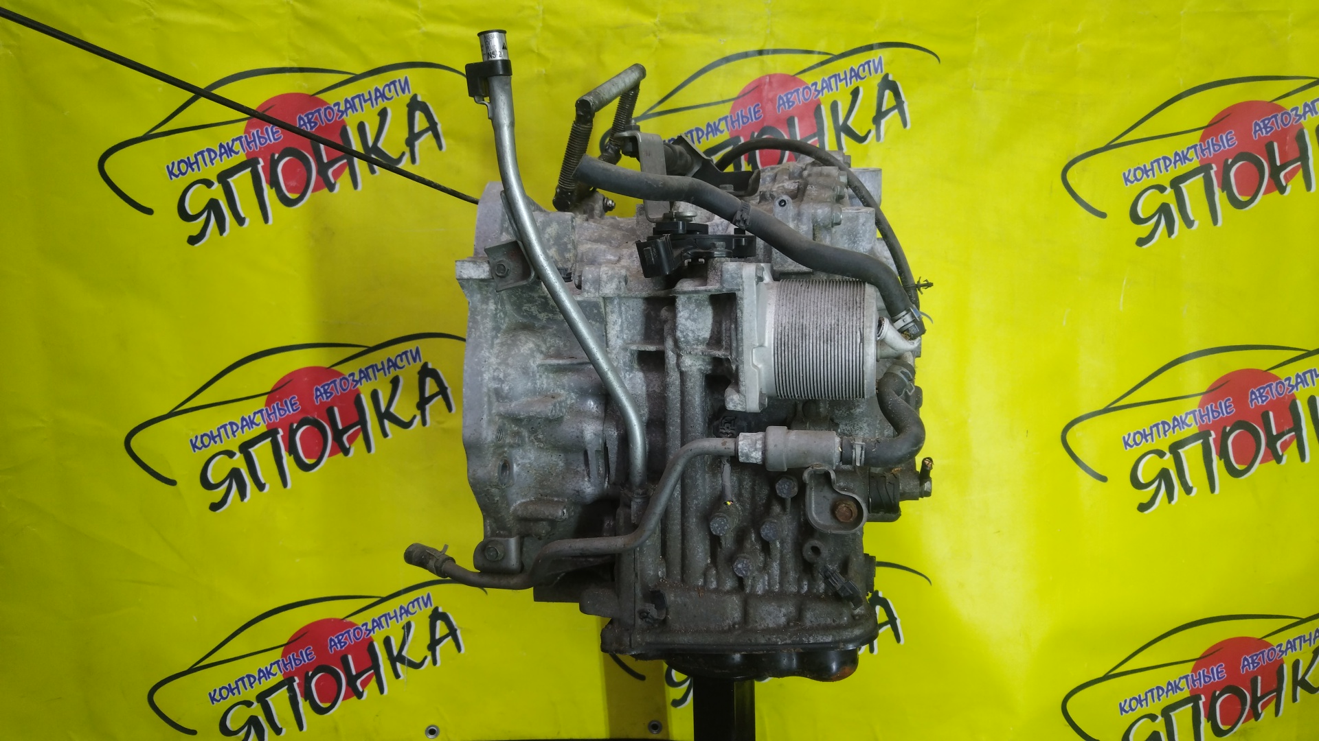 АКПП/NIS/MR20/X-TRAIL/LAFESTA/SERENA/BLUEBIRD SYLPHY/QASHQAI/DUALIS/J10/T31/KG11/B30/NB30/C25/CC25/KJ10/2WD/RE0F10AGB57/CVT/310201XF05/310201XF0D/310201XF2B/310201XT0C/310201XT1A/310203UX8A/310201XT0A/310201XT0E/310201XT2B/310201XF00/310201XF1A/310201XF1E/310201XF02/310203UX4E/310201XF0B/2000250Z10/310201XT2C