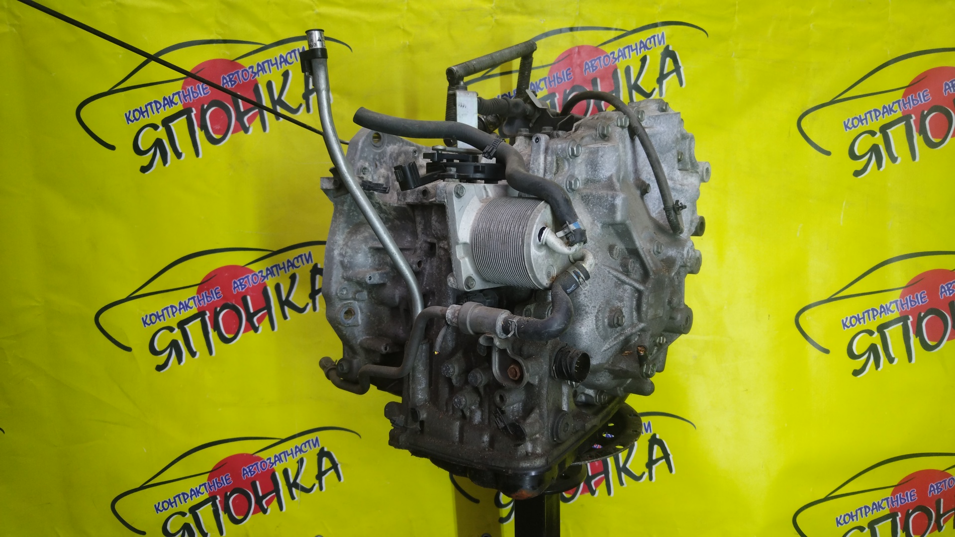 АКПП/NIS/MR20/X-TRAIL/LAFESTA/SERENA/BLUEBIRD SYLPHY/QASHQAI/DUALIS/J10/T31/KG11/B30/NB30/C25/CC25/KJ10/2WD/RE0F10AGB57/CVT/310201XF05/310201XF0D/310201XF2B/310201XT0C/310201XT1A/310203UX8A/310201XT0A/310201XT0E/310201XT2B/310201XF00/310201XF1A/310201XF1E/310201XF02/310203UX4E/310201XF0B/2000250Z10/310201XT2C