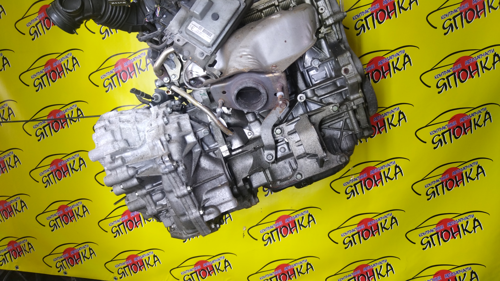 АКПП/NIS/MR20/X-TRAIL/LAFESTA/SERENA/BLUEBIRD SYLPHY/QASHQAI/DUALIS/J10/T31/KG11/B30/NB30/C25/CC25/KJ10/2WD/RE0F10AGB57/CVT/310201XF05/310201XF0D/310201XF2B/310201XT0C/310201XT1A/310203UX8A/310201XT0A/310201XT0E/310201XT2B/310201XF00/310201XF1A/310201XF1E/310201XF02/310203UX4E/310201XF0B/2000250Z10/310201XT2C