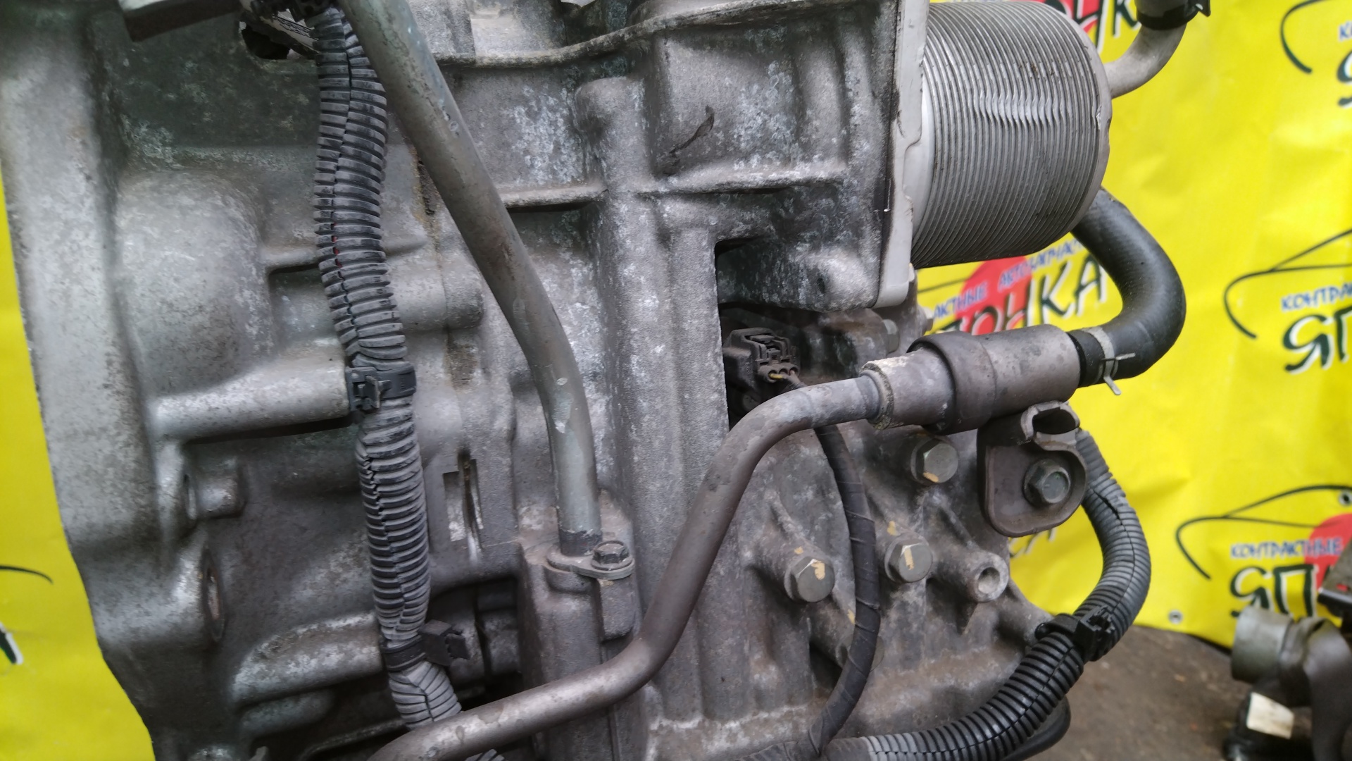 АКПП/NIS/MR20/X-TRAIL/LAFESTA/SERENA/BLUEBIRD SYLPHY/QASHQAI/DUALIS/J10/T31/KG11/B30/NB30/C25/CC25/KJ10/2WD/RE0F10AGB57/CVT/310201XF05/310201XF0D/310201XF2B/310201XT0C/310201XT1A/310203UX8A/310201XT0A/310201XT0E/310201XT2B/310201XF00/310201XF1A/310201XF1E/310201XF02/310203UX4E/310201XF0B/2000250Z10/310201XT2C