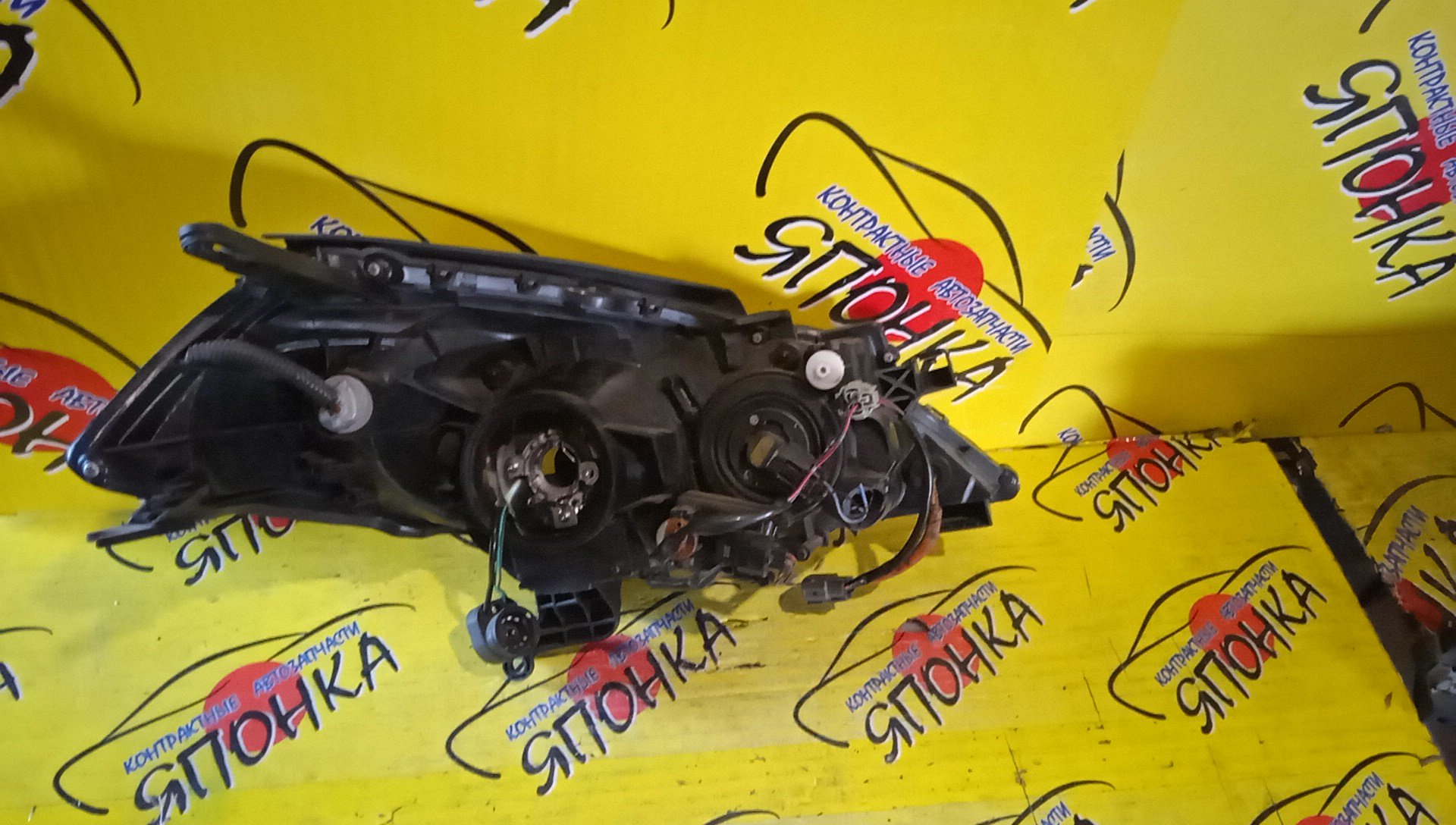 ФАРА/NIS/WINGROAD/WFY11/WHNY11/WHY11/WPY11/WRY11/1699/XENON/L