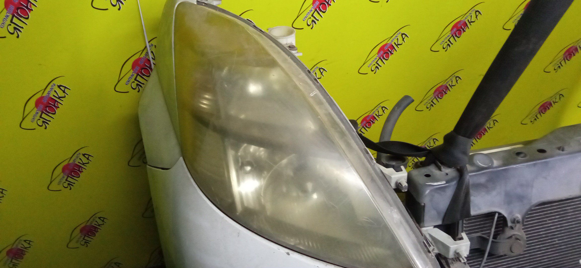 NOSECUT/TOY/ISIS/ANM10W/ANM15/ZNM10/С ТУМАНКАМИ/XENON/1 МОДЕЛЬ/5320144130/5320144131/5202144020