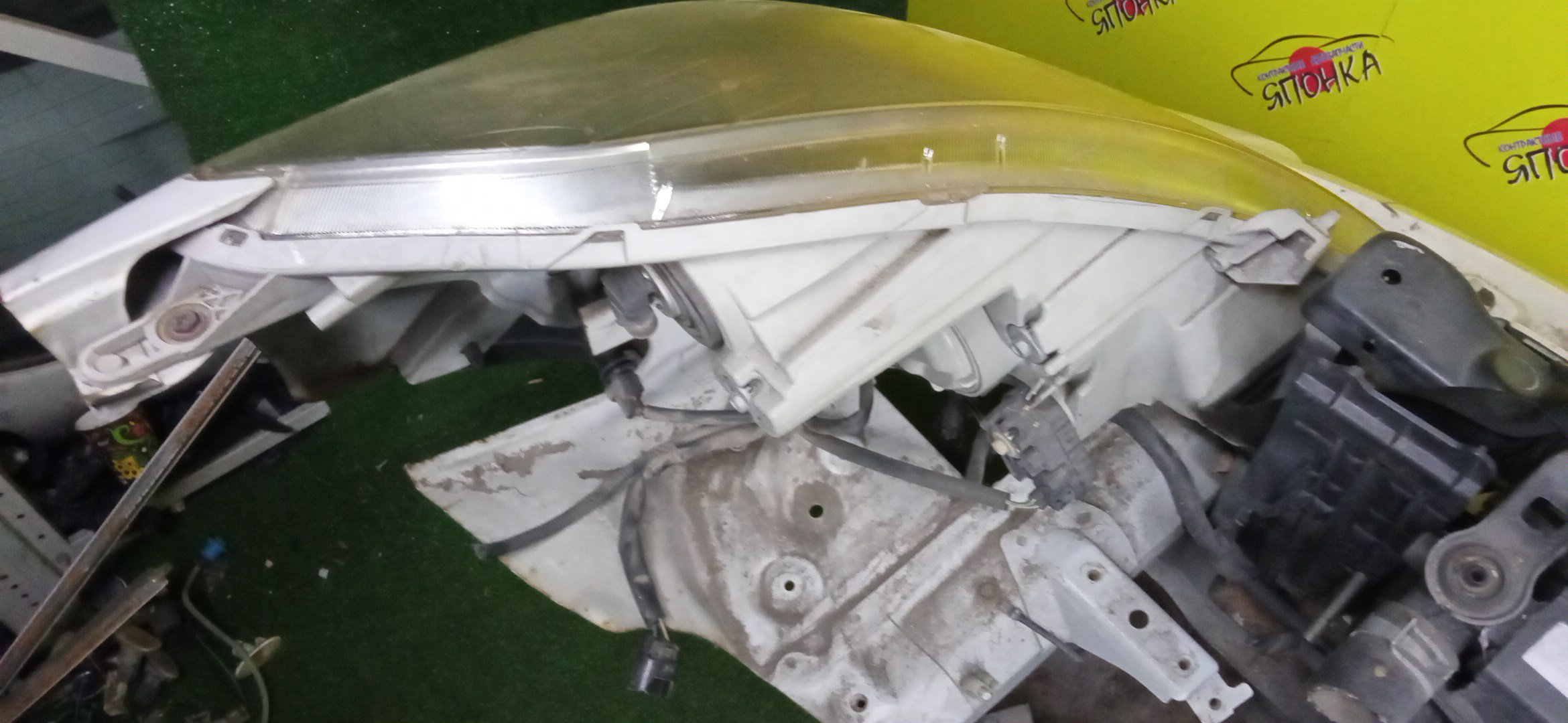 NOSECUT/TOY/ISIS/ANM10W/ANM15/ZNM10/С ТУМАНКАМИ/XENON/1 МОДЕЛЬ/5320144130/5320144131/5202144020