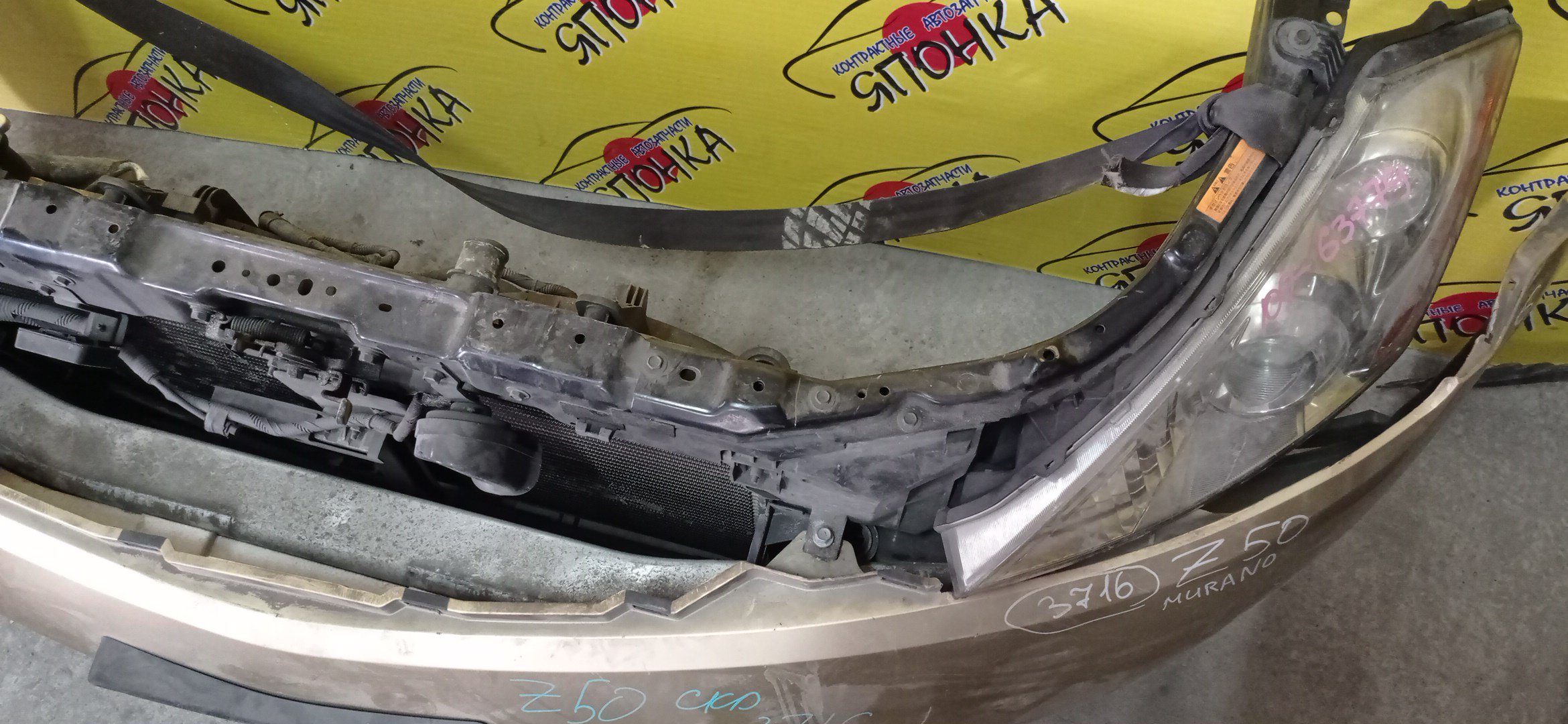 NOSECUT/NIS/MURANO/PNZ50/PZ50/TZ50/С ТУМАНКАМИ/XENON